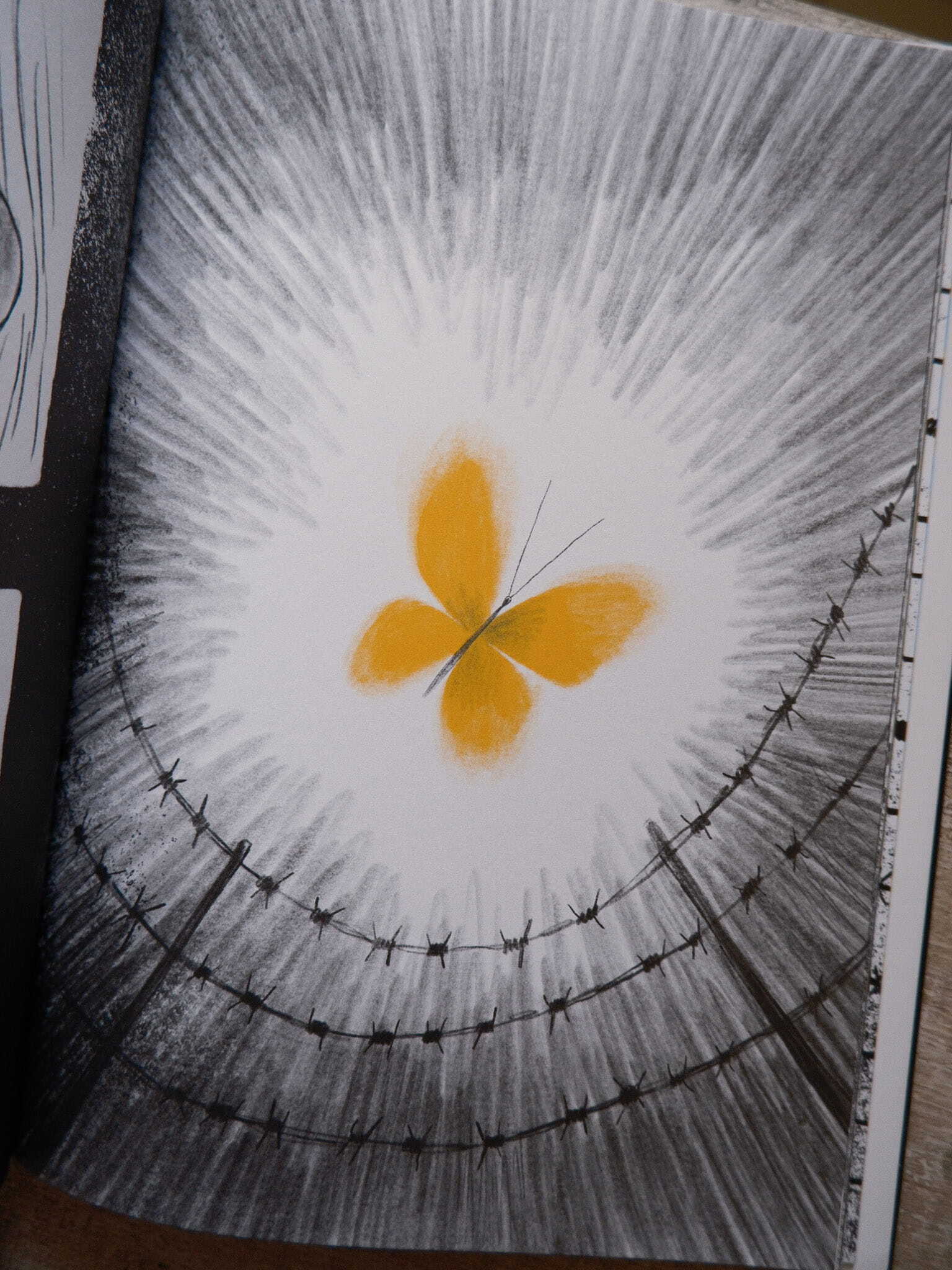 Yellow Butterfly - A story from Ukraine 6