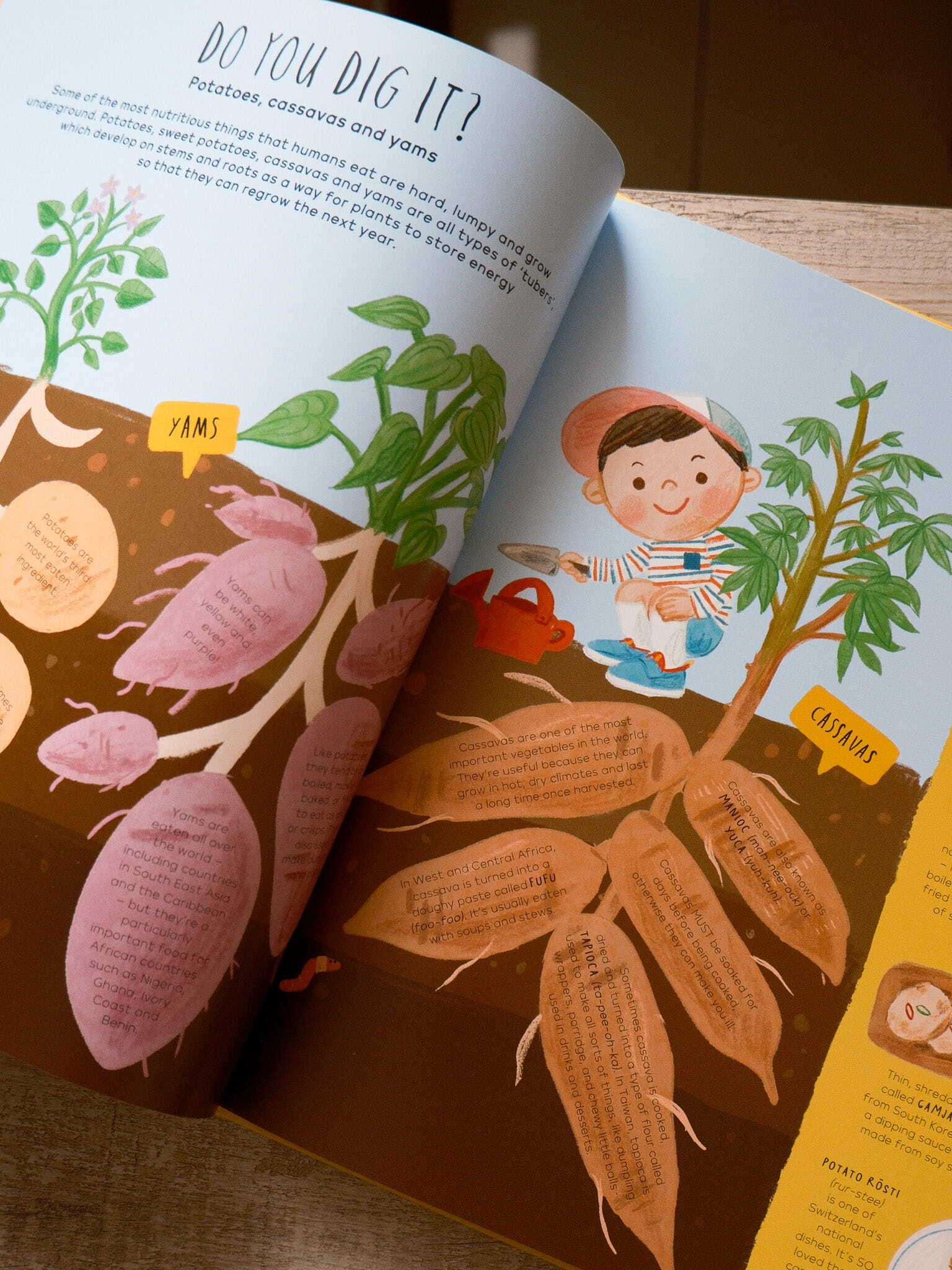 Welcome to Our Table 5