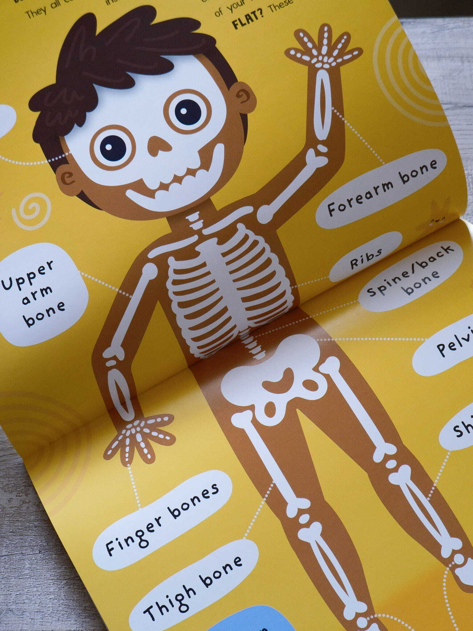 Incredible Things Your Body Can Do! 3