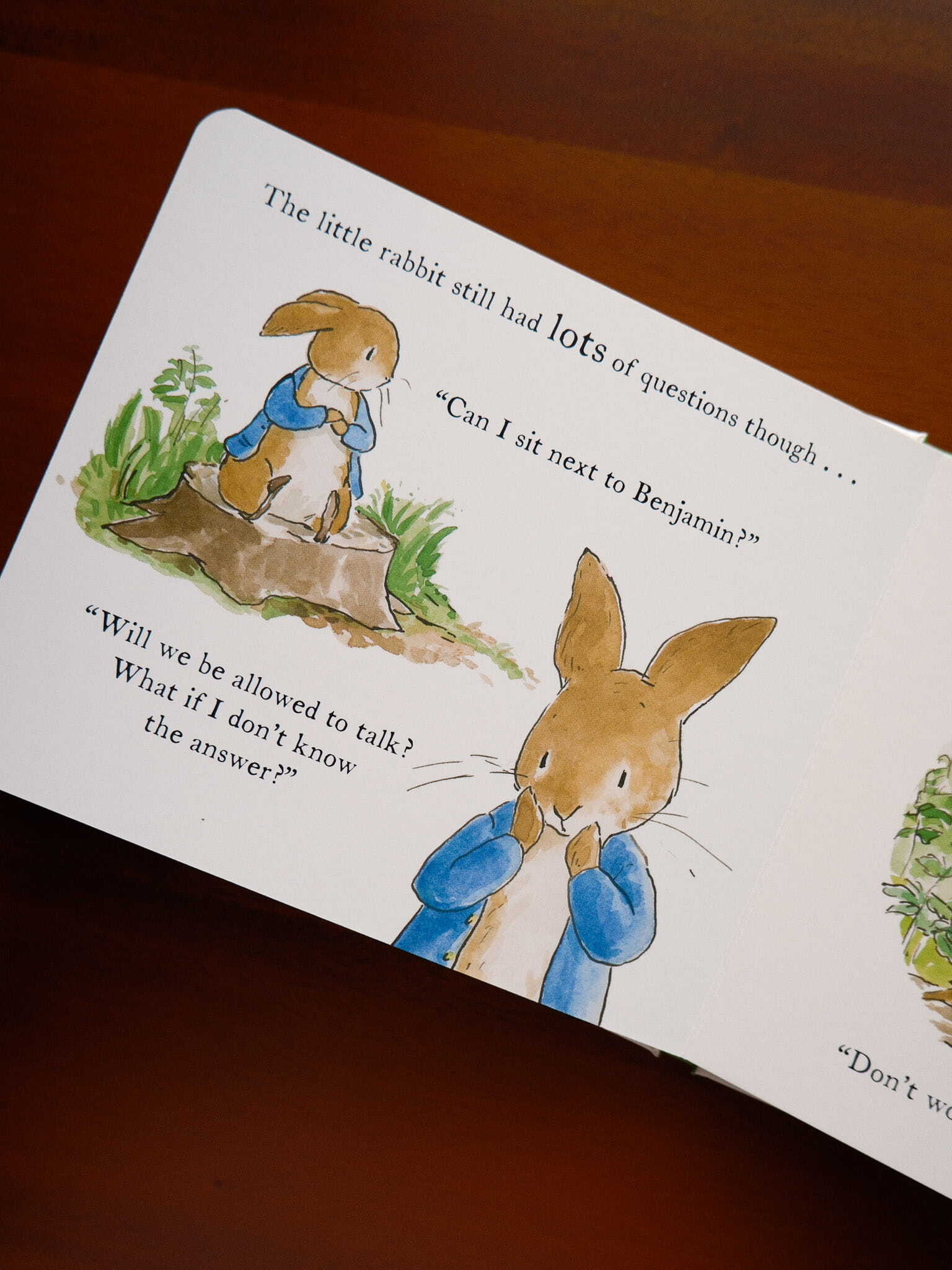Peter Rabbit Tales - Starting School 6