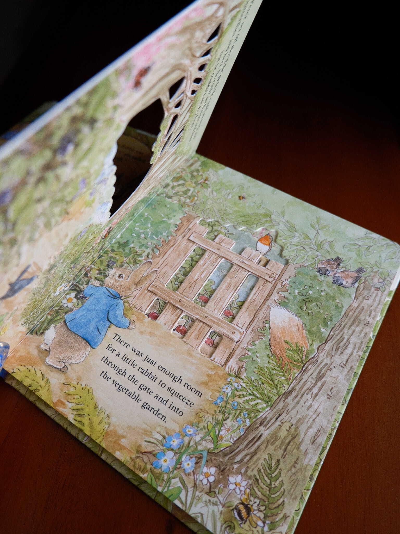 Peter Rabbit - A Peep-Inside Tale 3