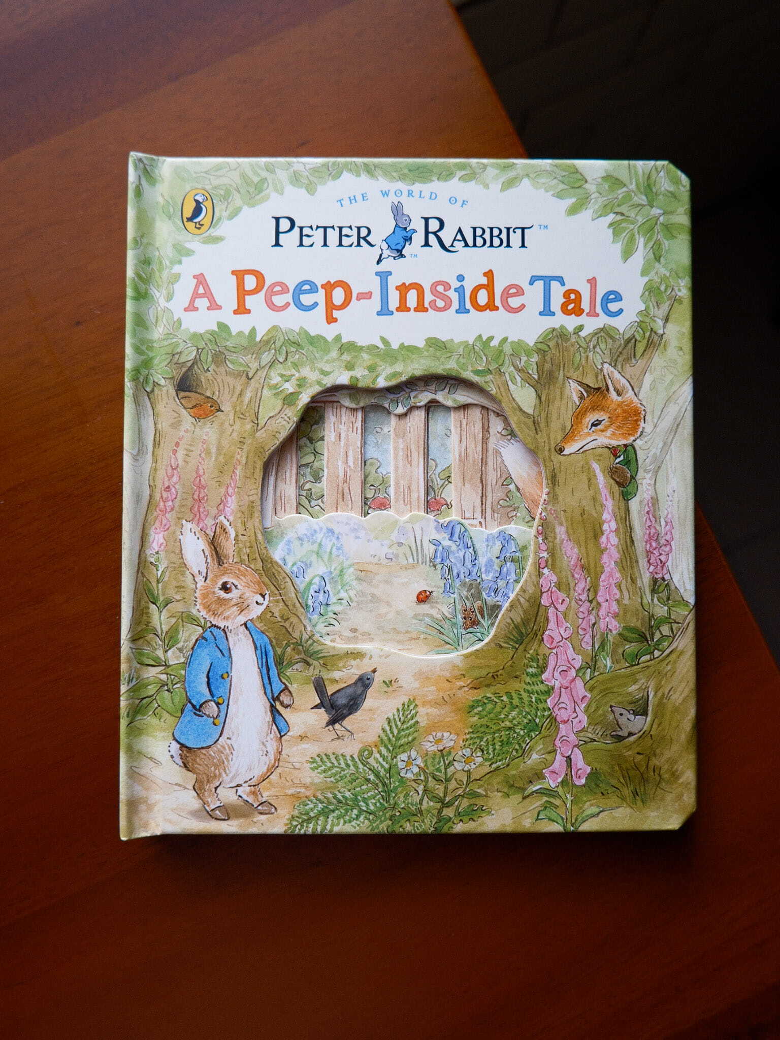 Peter Rabbit - A Peep-Inside Tale 1