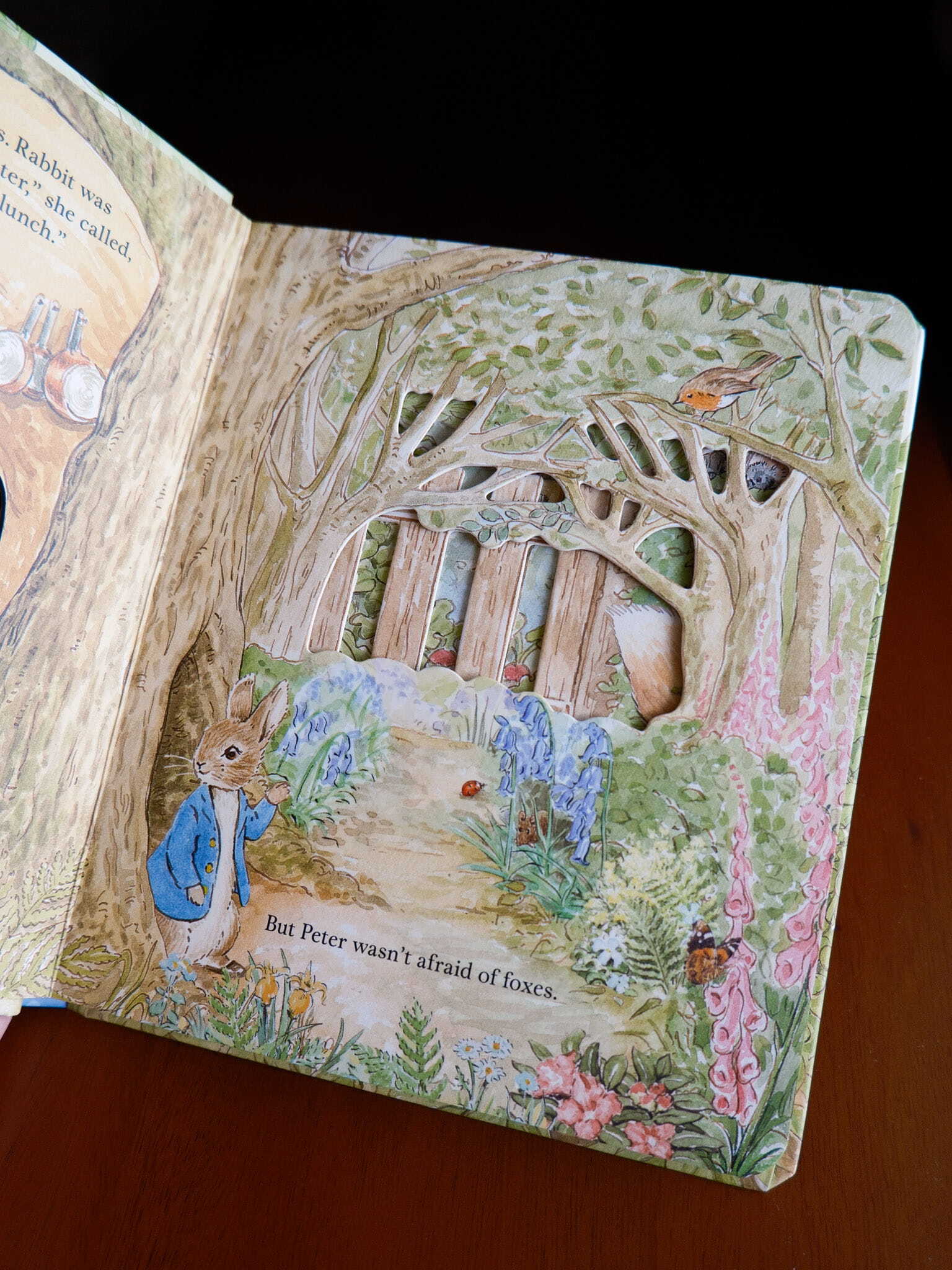Peter Rabbit - A Peep-Inside Tale 2