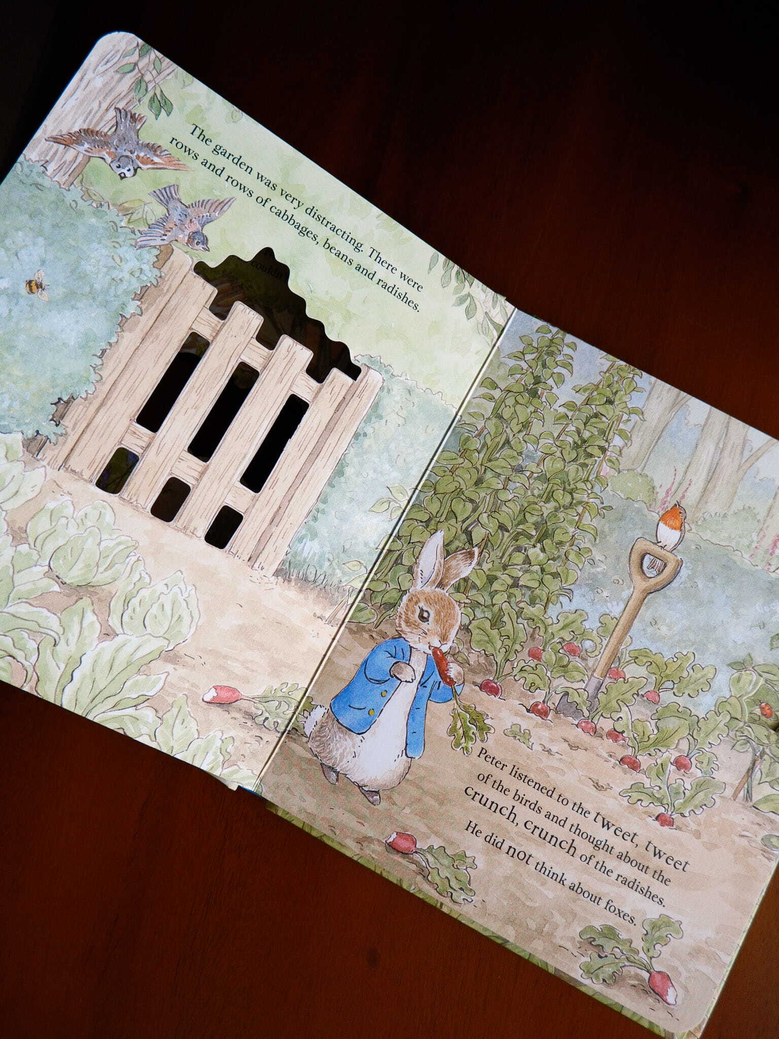 Peter Rabbit - A Peep-Inside Tale 4