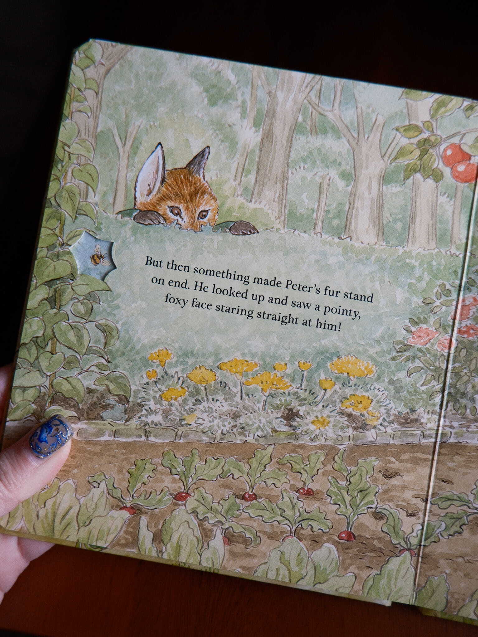 Peter Rabbit - A Peep-Inside Tale 5