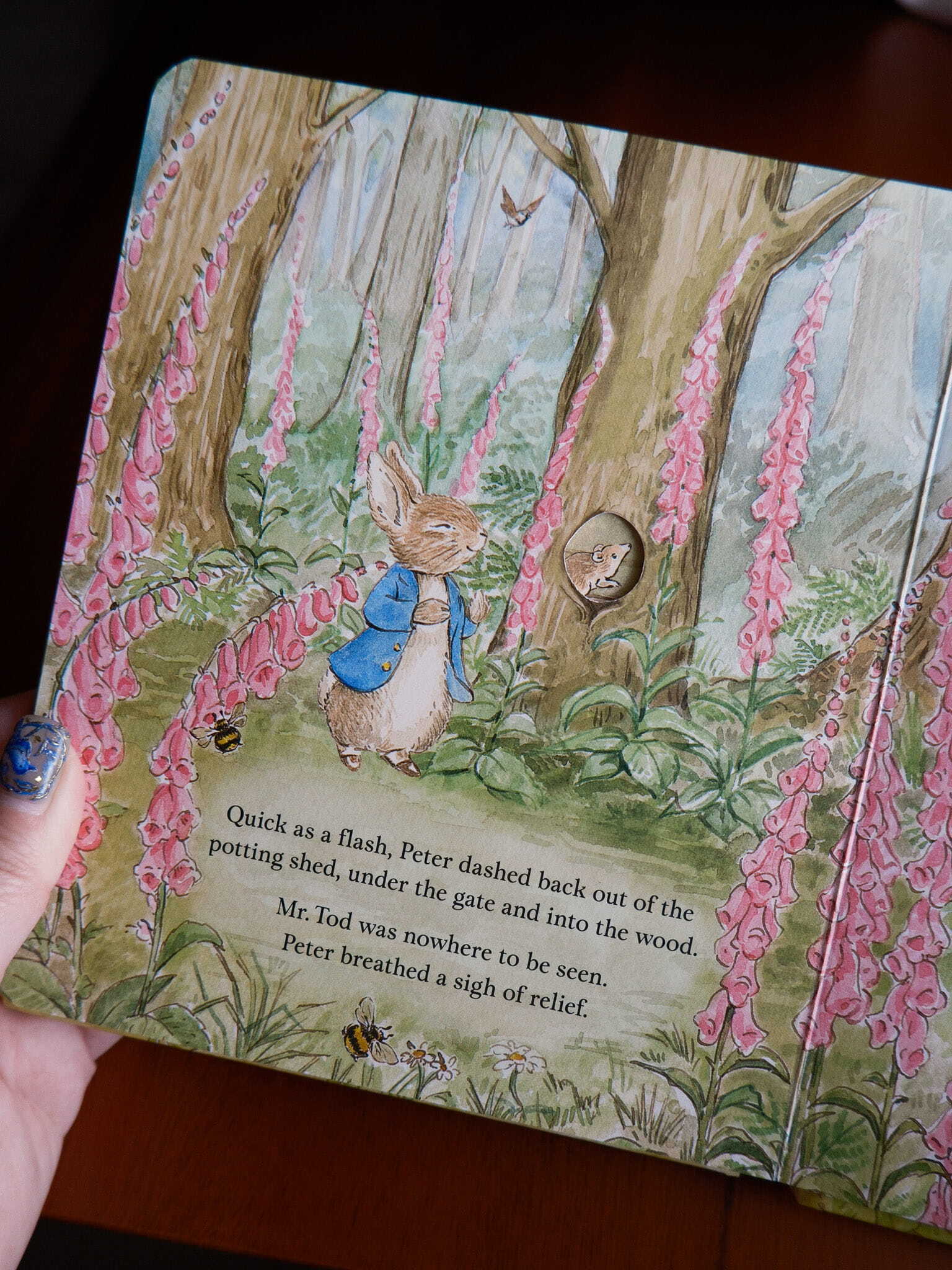 Peter Rabbit - A Peep-Inside Tale 6