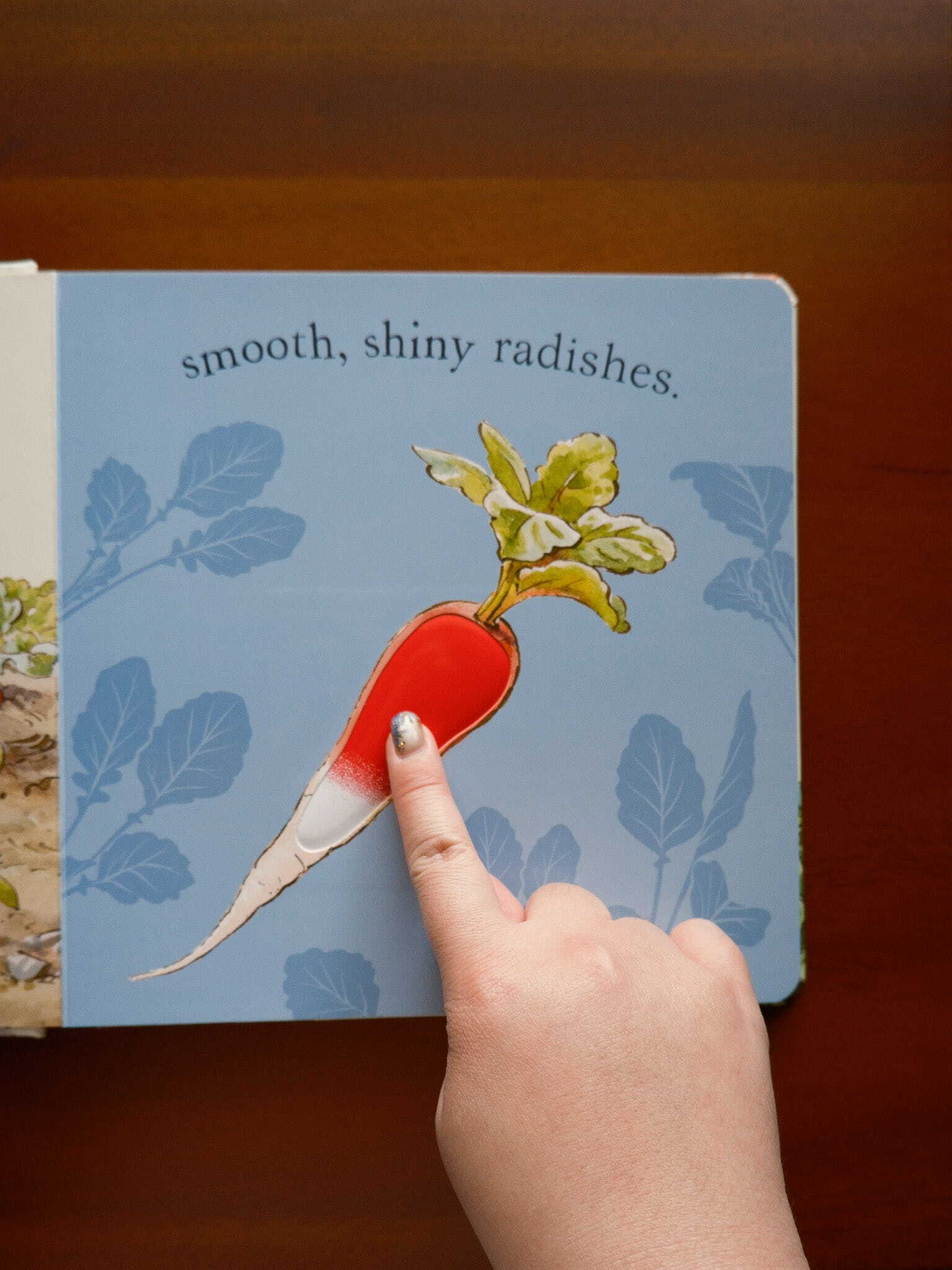 Peter Rabbit - Forest Feast 3