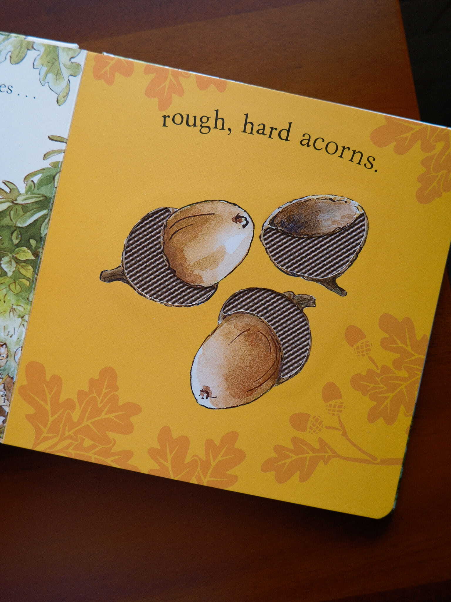 Peter Rabbit - Forest Feast 5