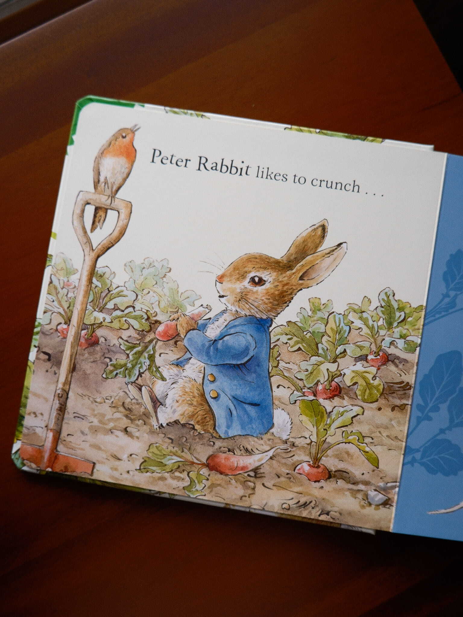 Peter Rabbit - Forest Feast 2