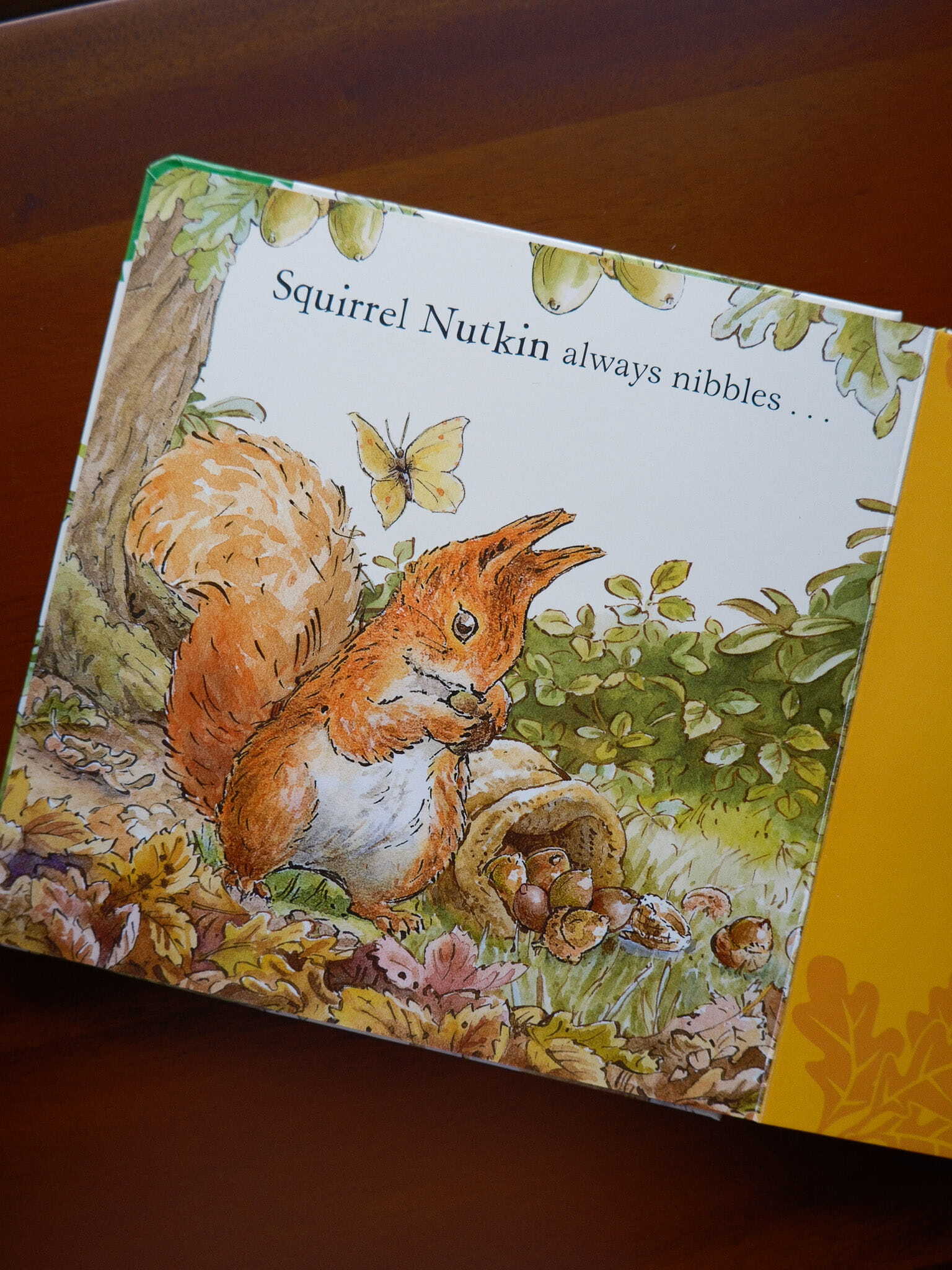 Peter Rabbit - Forest Feast 4