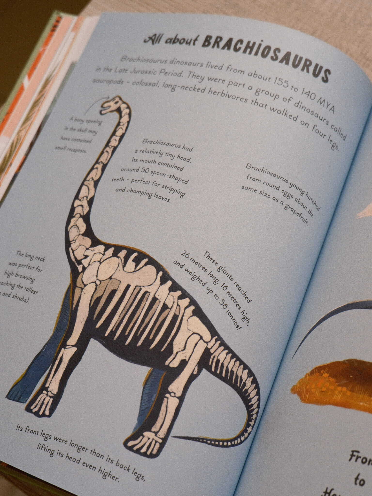 5 Minute Dinosaur Stories 3