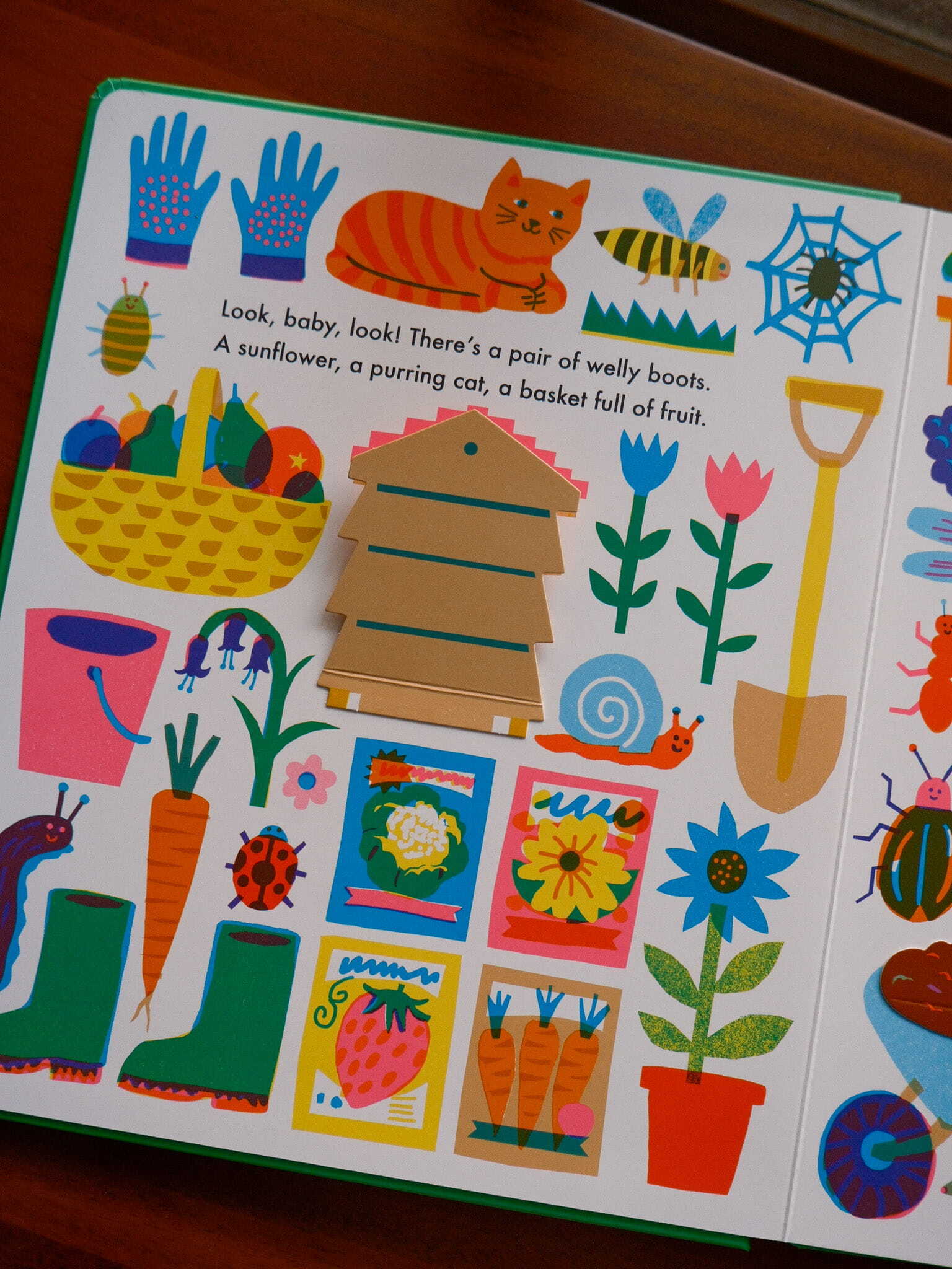 Look, Baby, Look! Outside 2