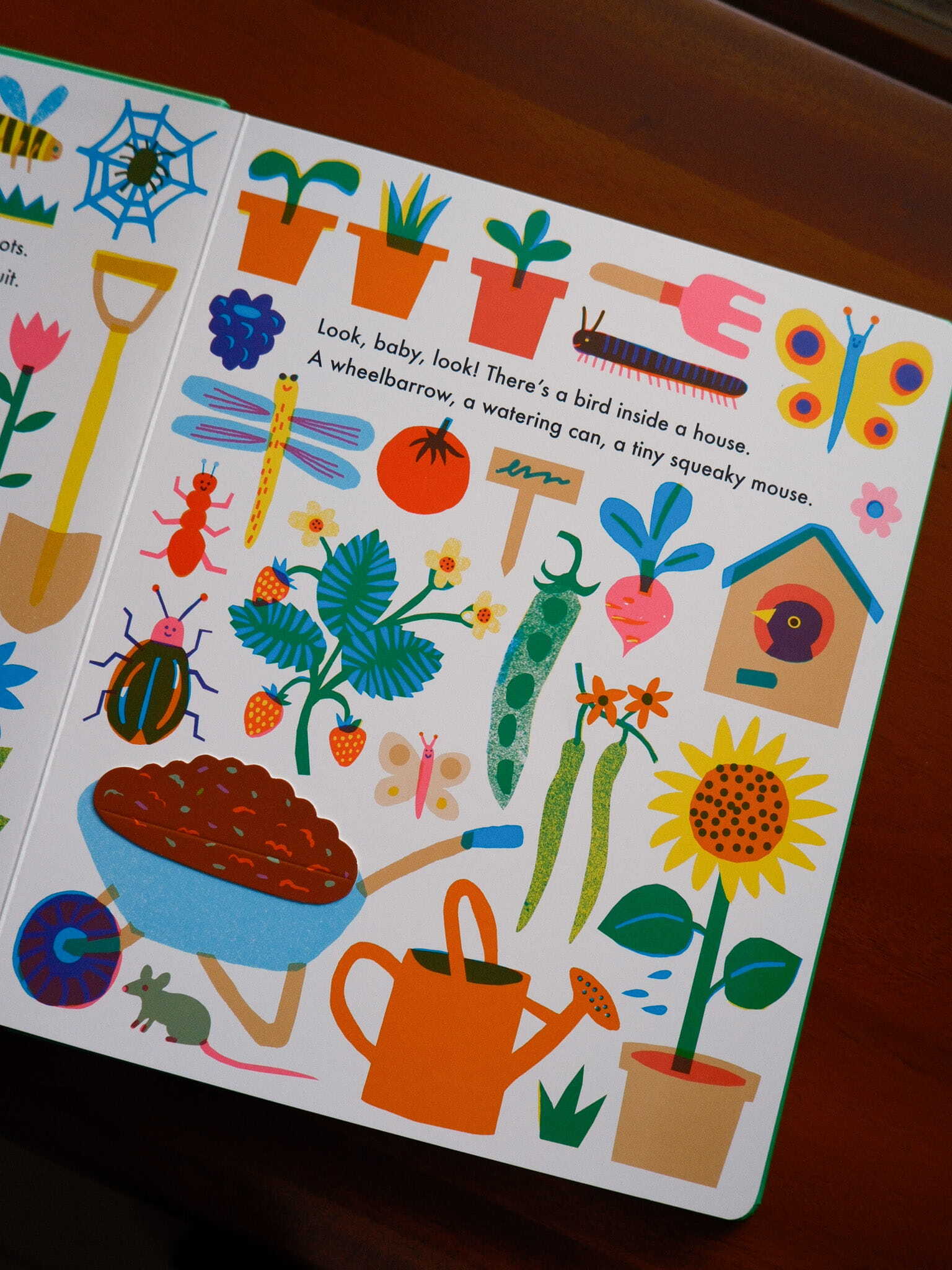 Look, Baby, Look! Outside 4