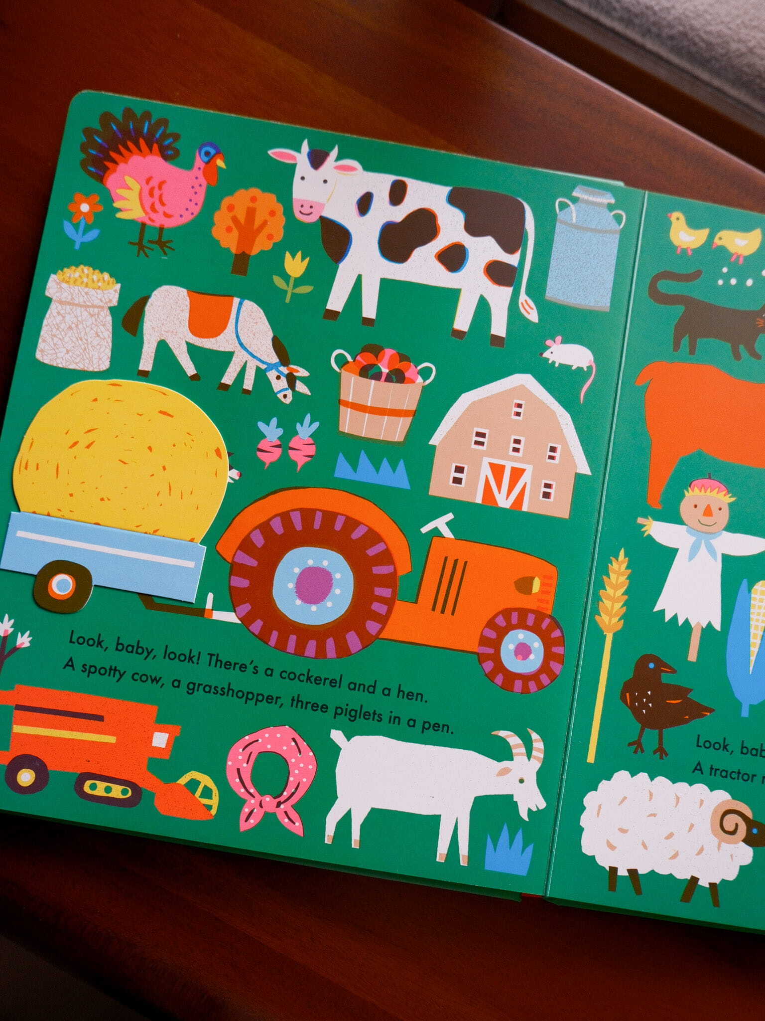 Look, Baby, Look! Outside 8