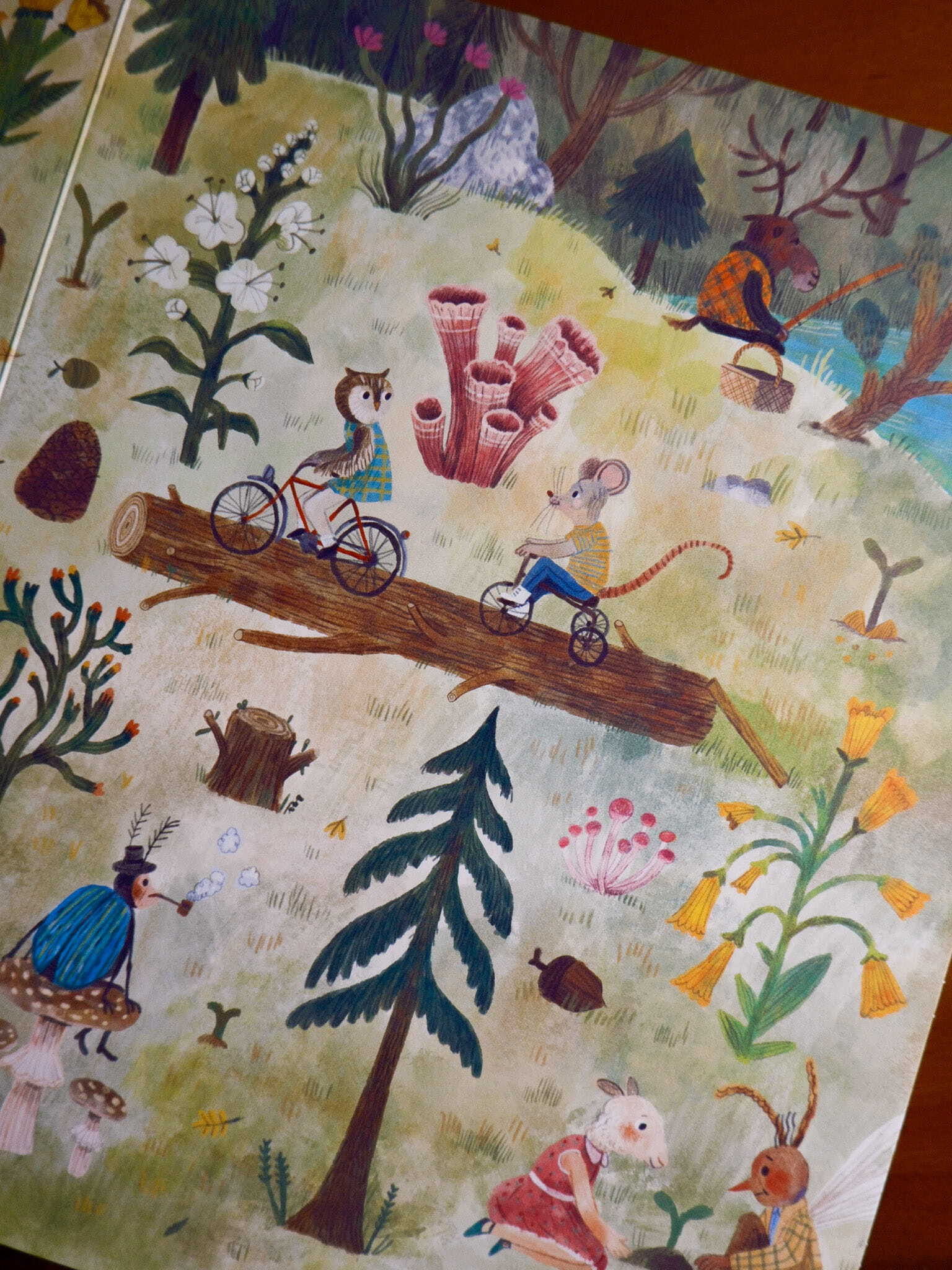 The Fantastic Forest 4