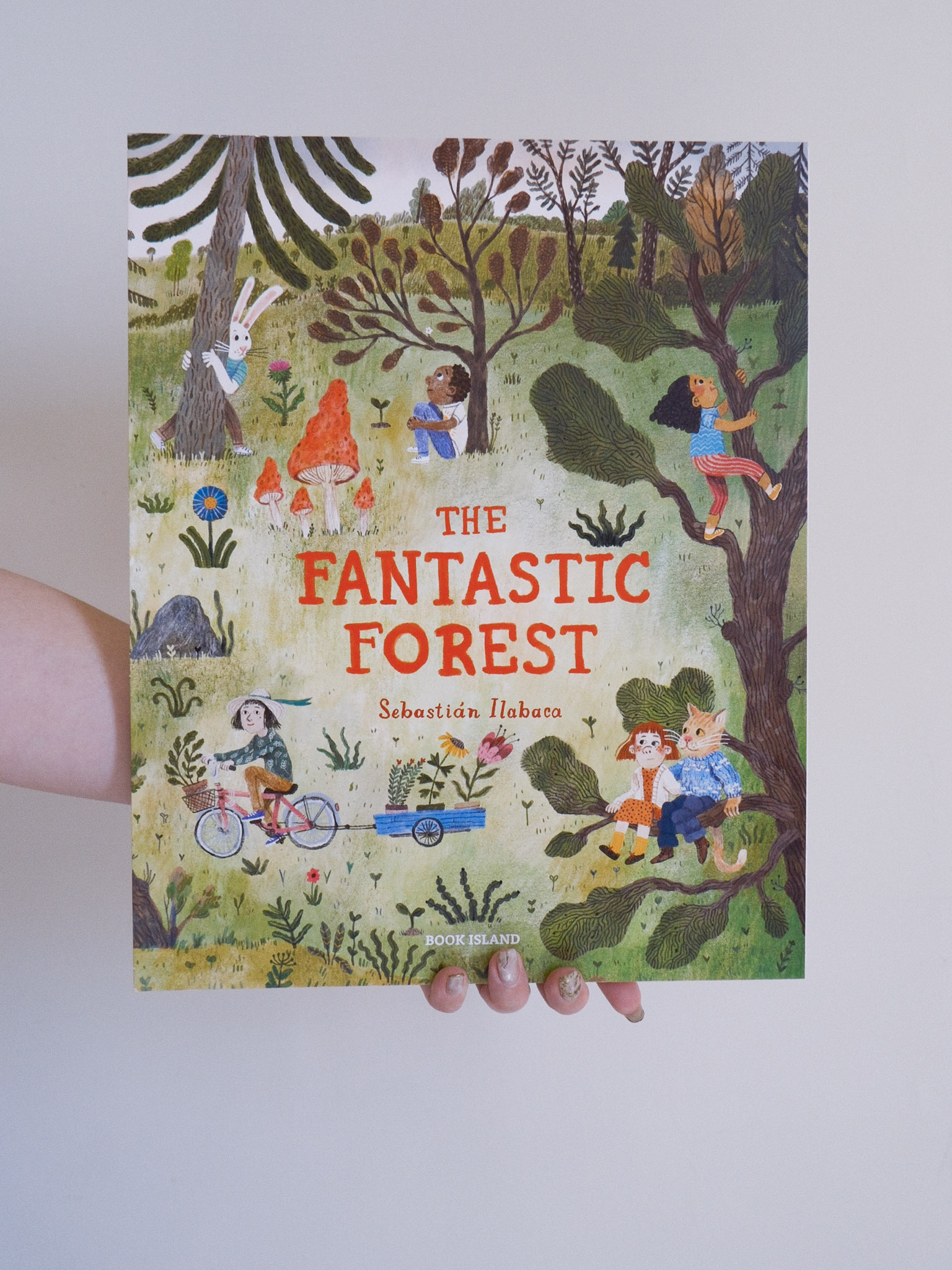 The Fantastic Forest 1