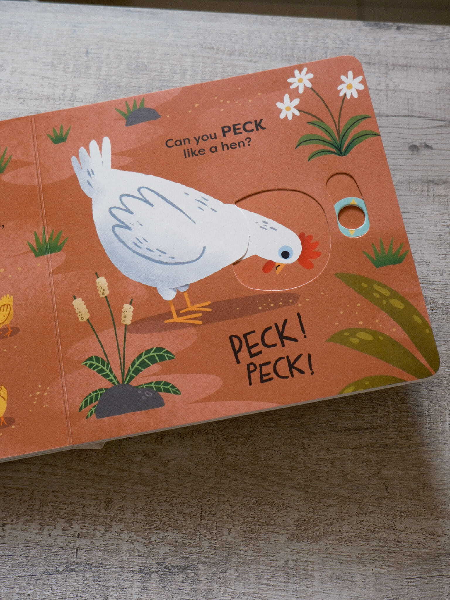 Animal Actions - Waddle Like a Duck 4