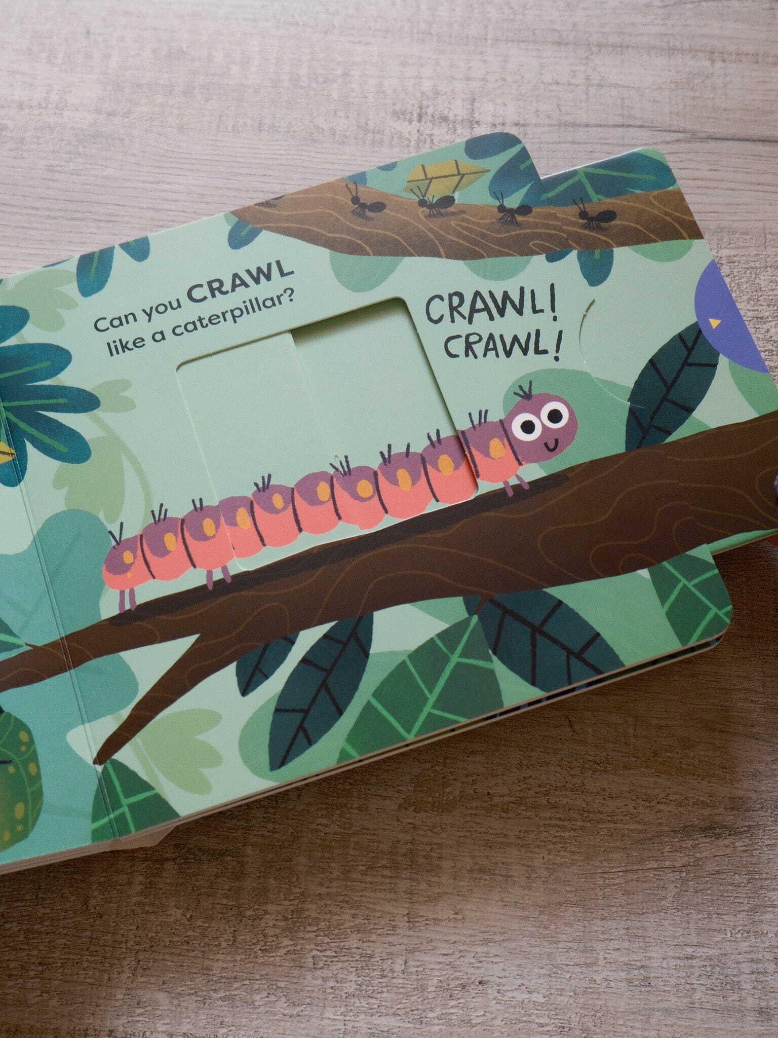 Animal Actions - Buzz Like a Bee 5