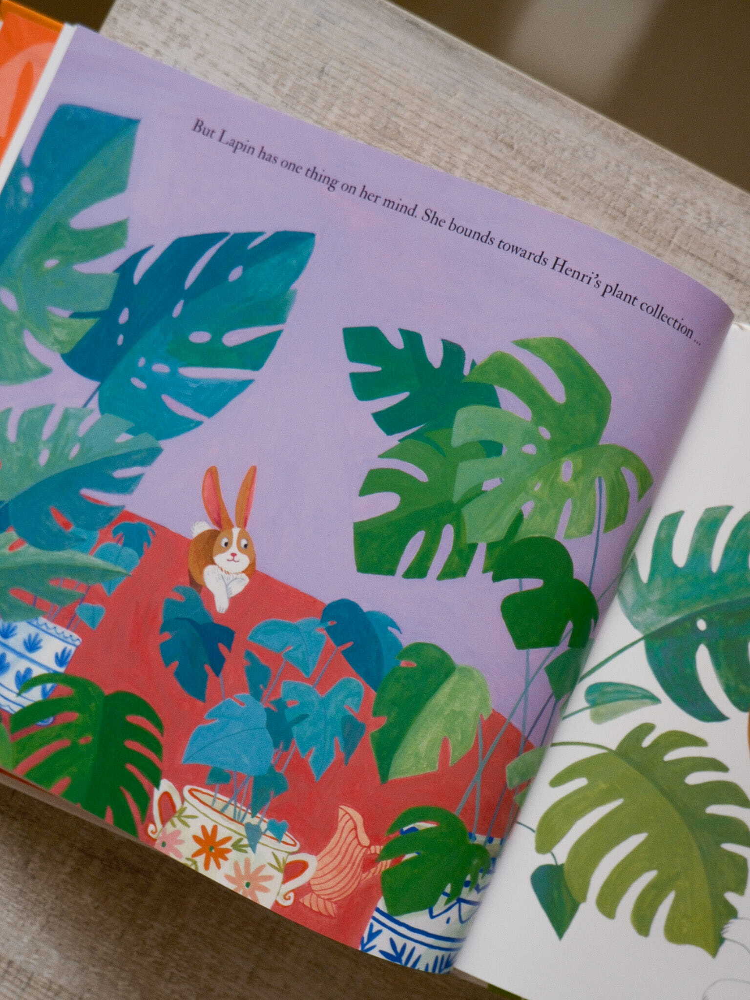 Matisse and the Runaway Rabbit 4