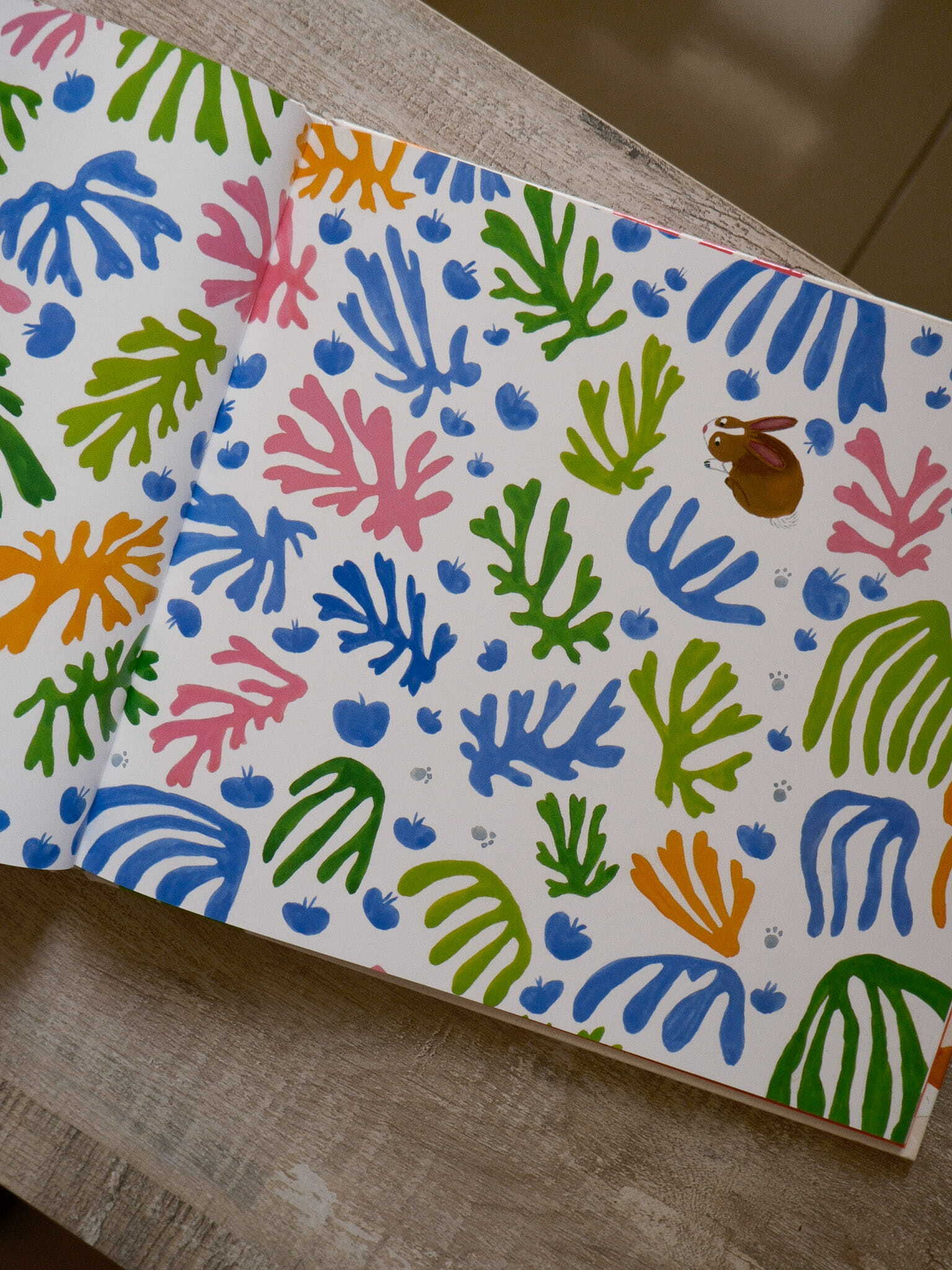 Matisse and the Runaway Rabbit 7