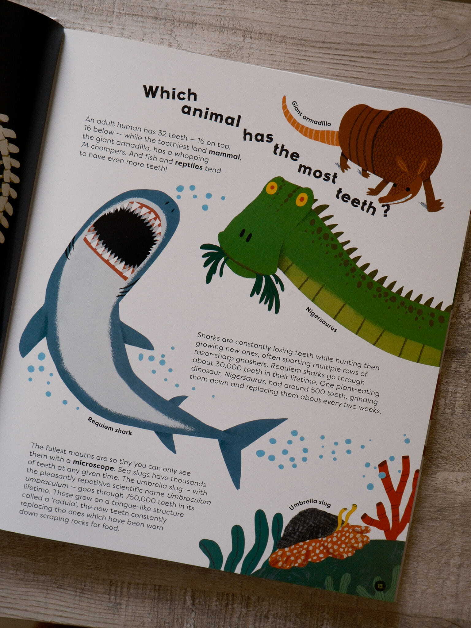 There's No Such Thing as a Silly Question 5