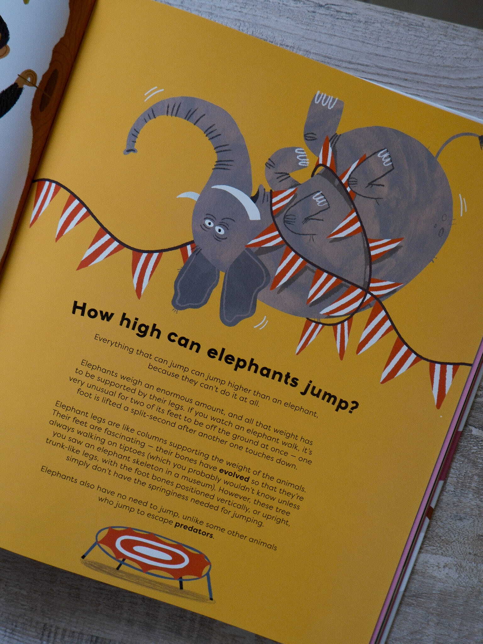 There's No Such Thing as a Silly Question 8