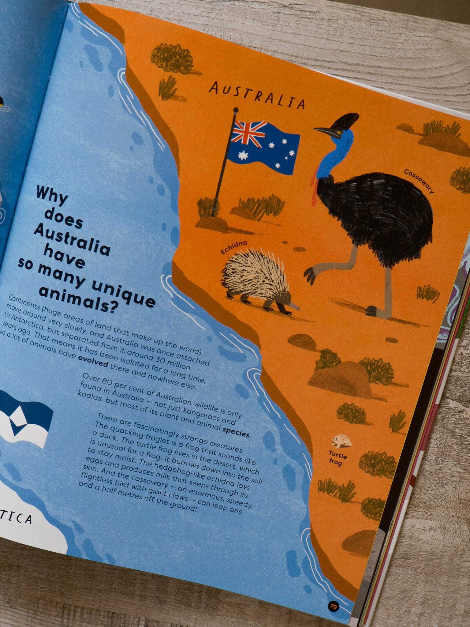 There's No Such Thing as a Silly Question 9