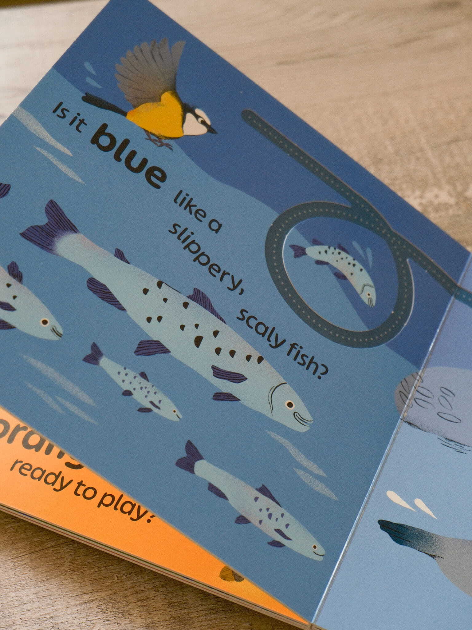 RSPB Birdie Loves Colours 6