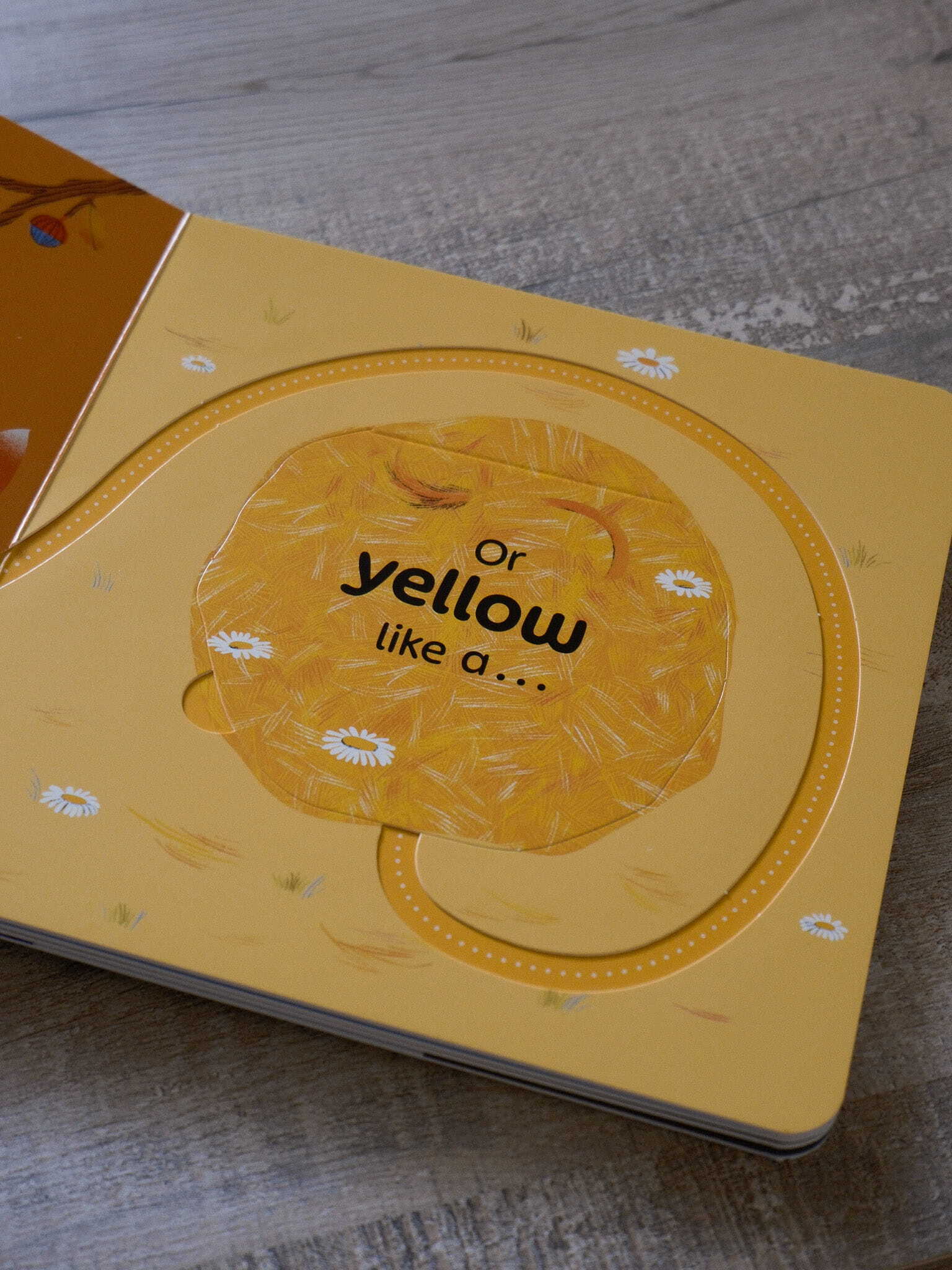 RSPB Birdie Loves Colours 5