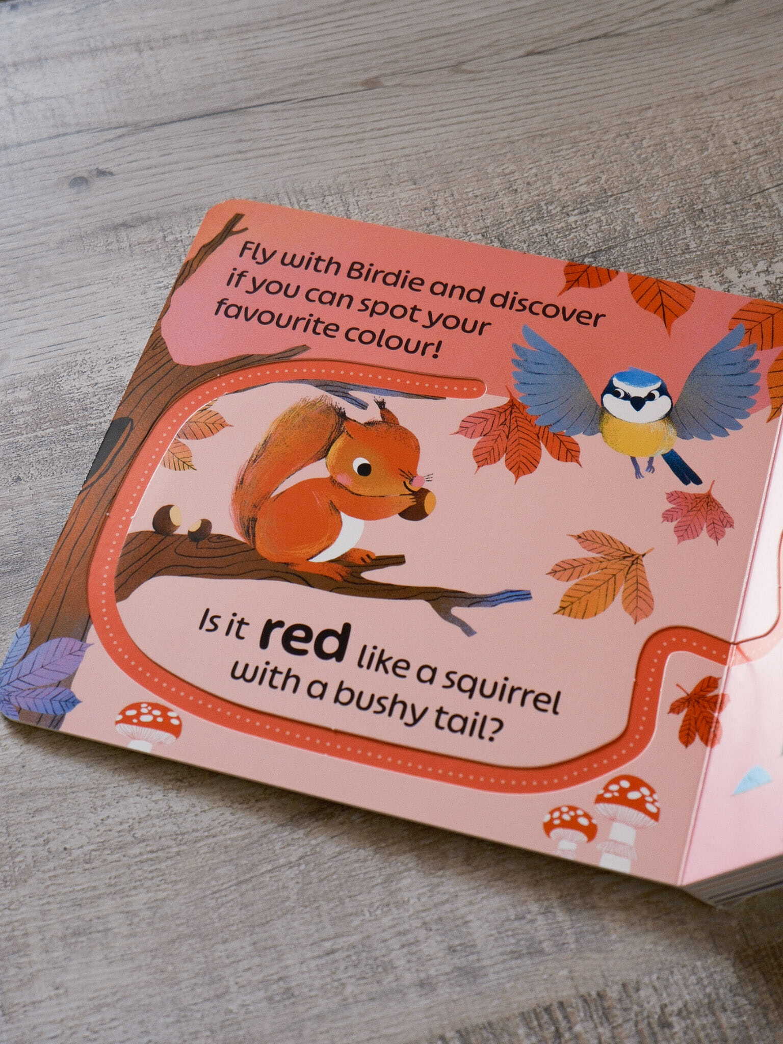 RSPB Birdie Loves Colours 2