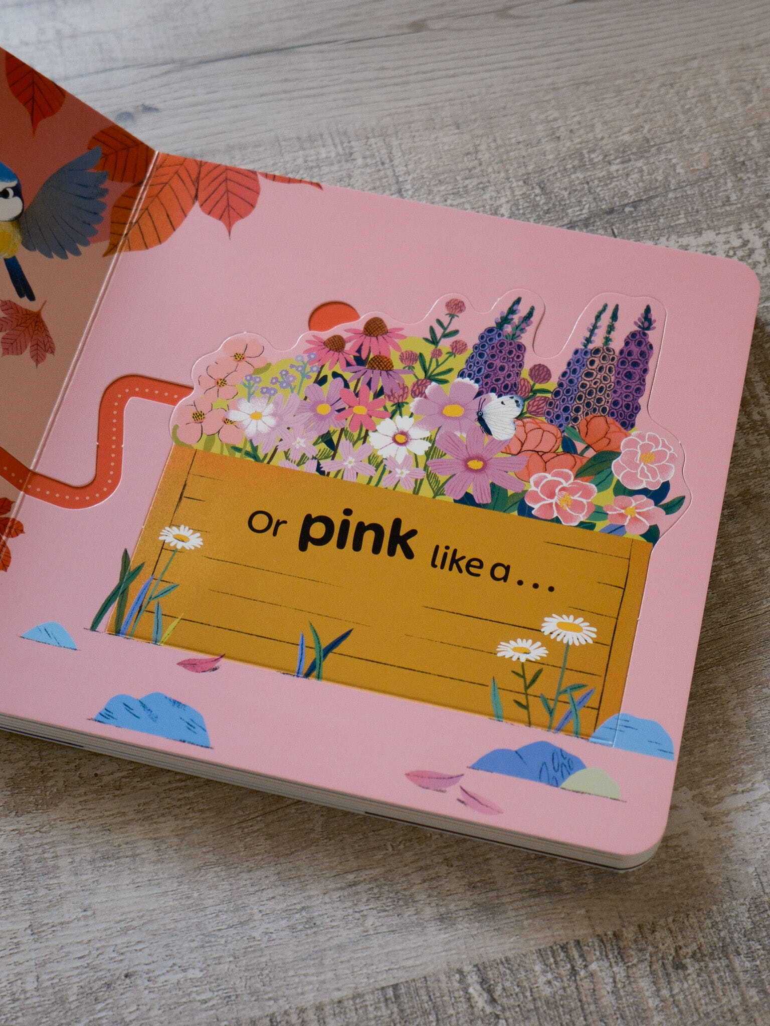 RSPB Birdie Loves Colours 3