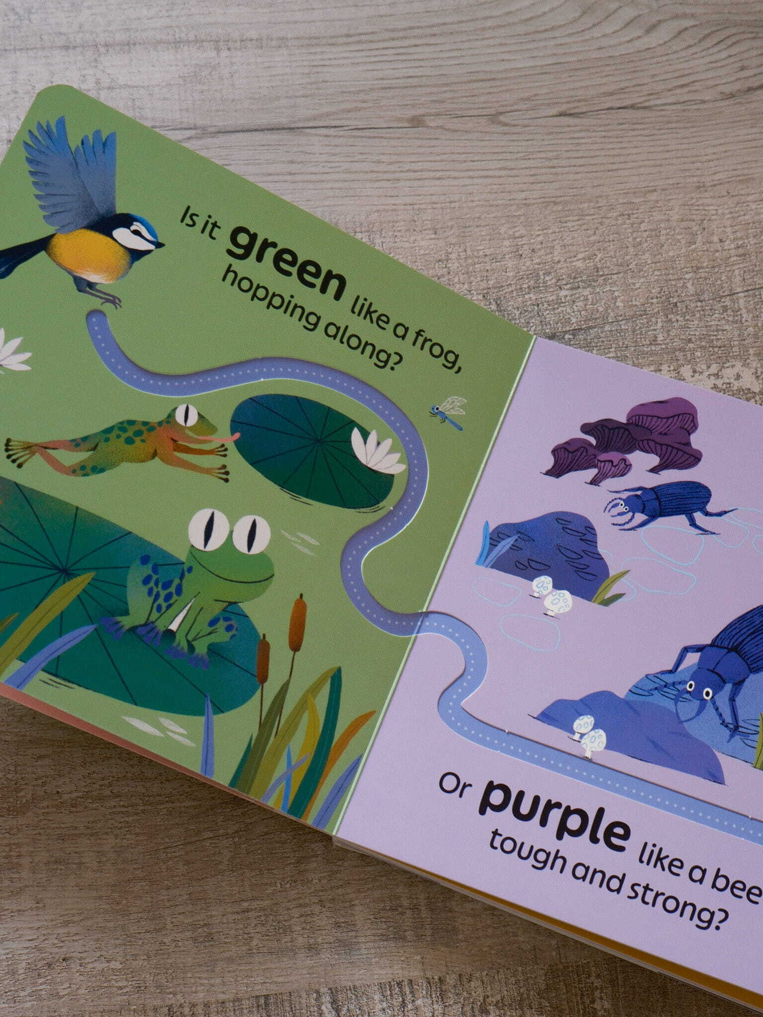 RSPB Birdie Loves Colours 4