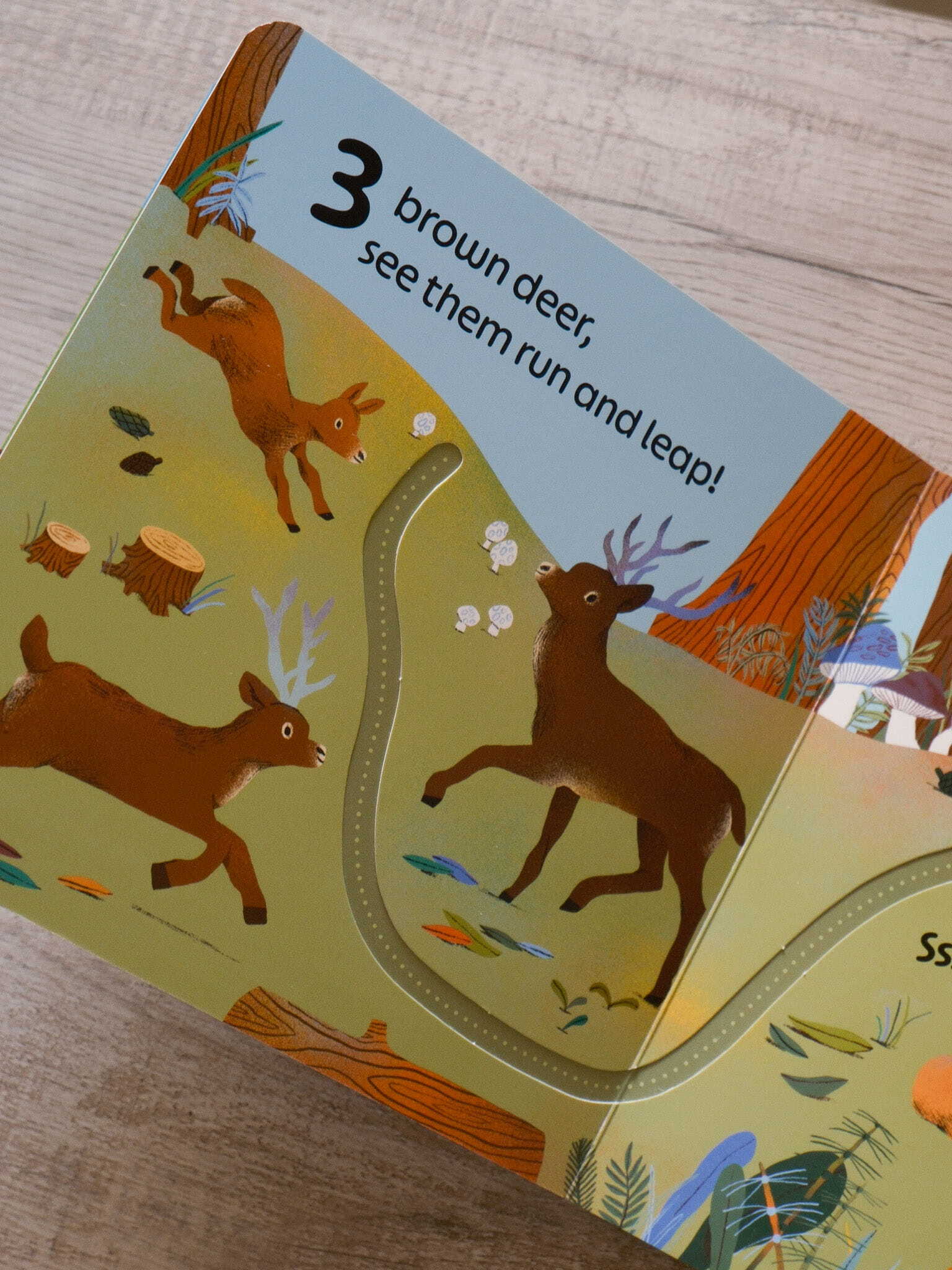 RSPB Birdie Loves Numbers 4