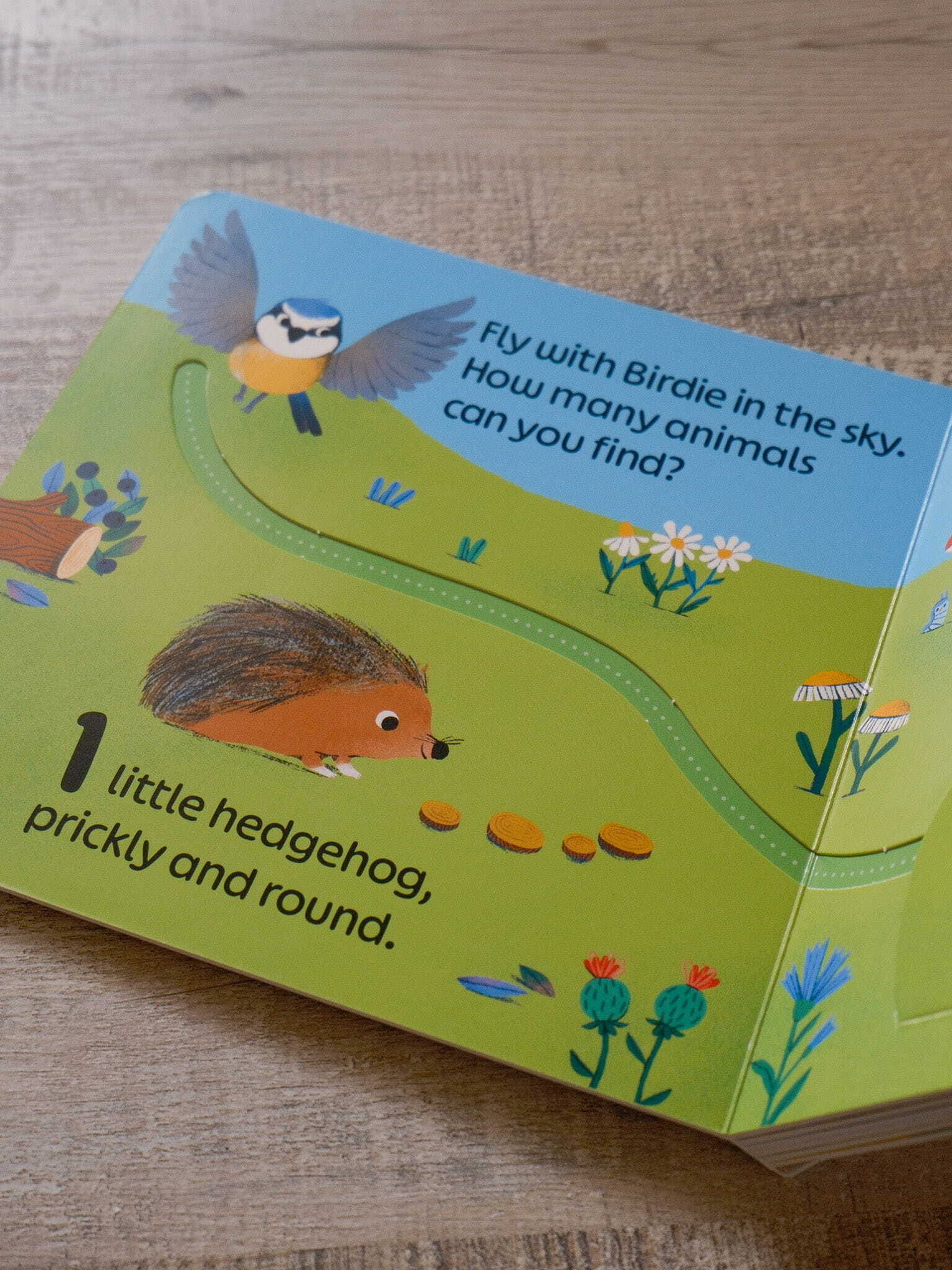 RSPB Birdie Loves Numbers 2