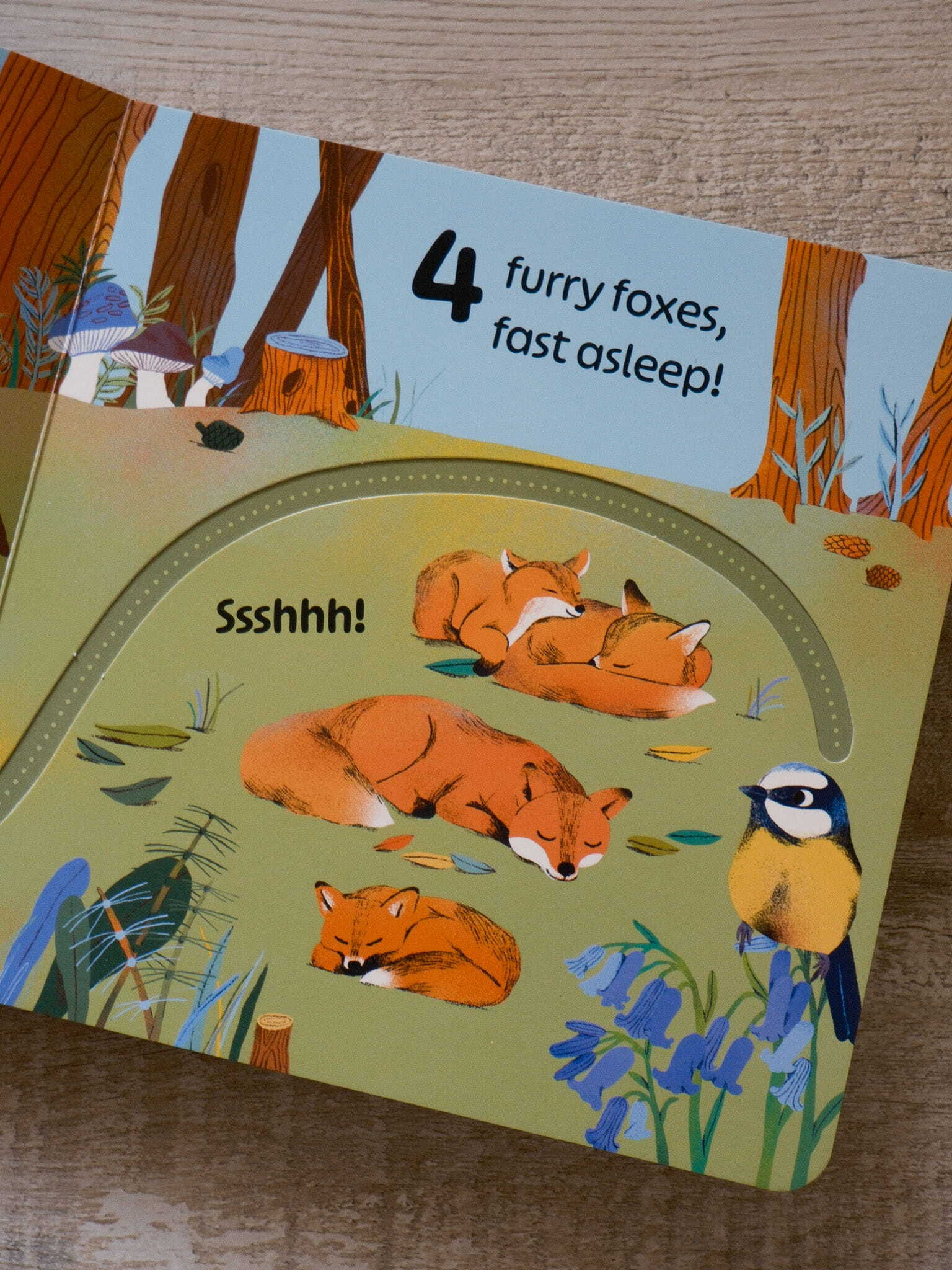 RSPB Birdie Loves Numbers 5