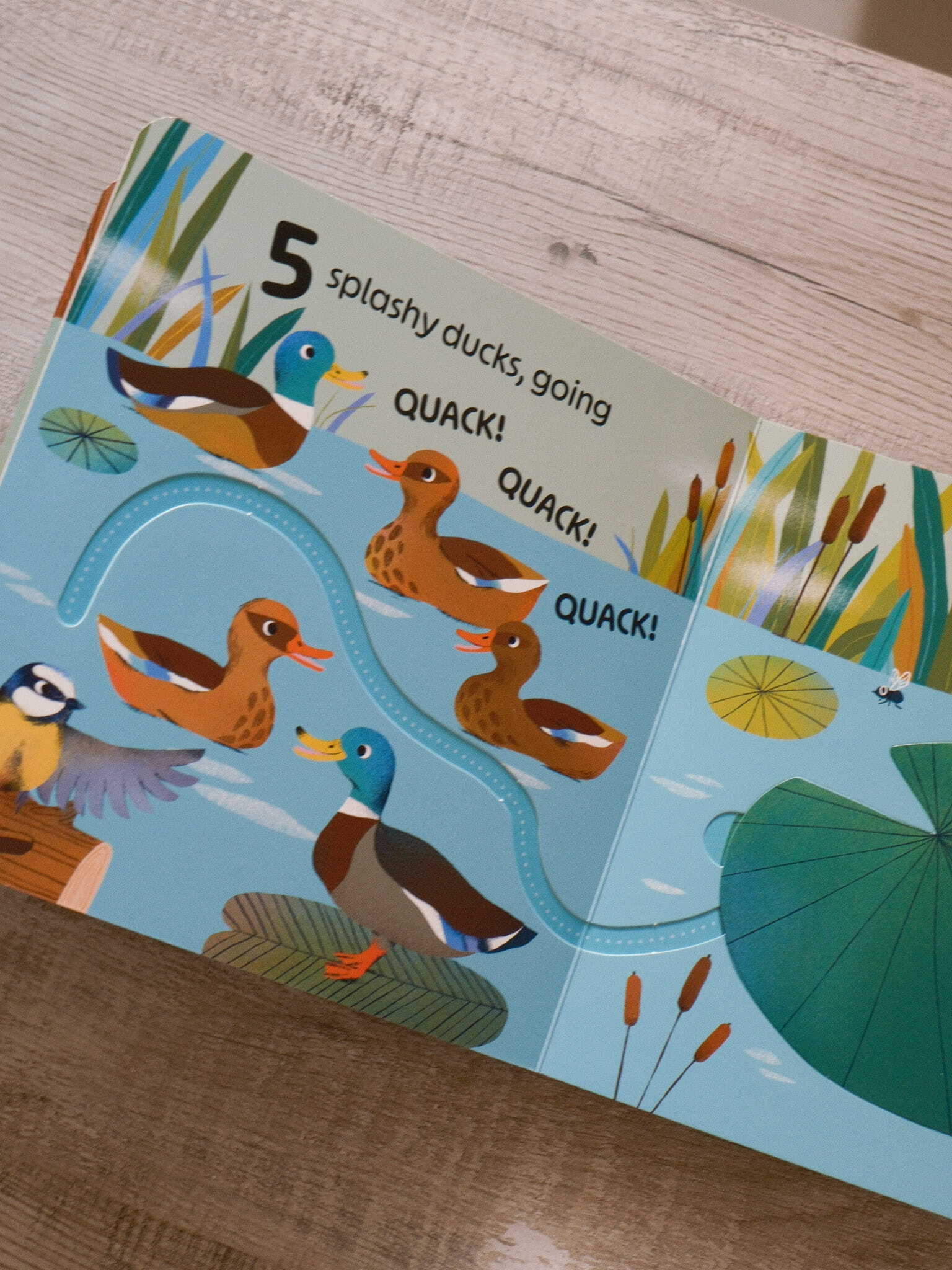 RSPB Birdie Loves Numbers 6