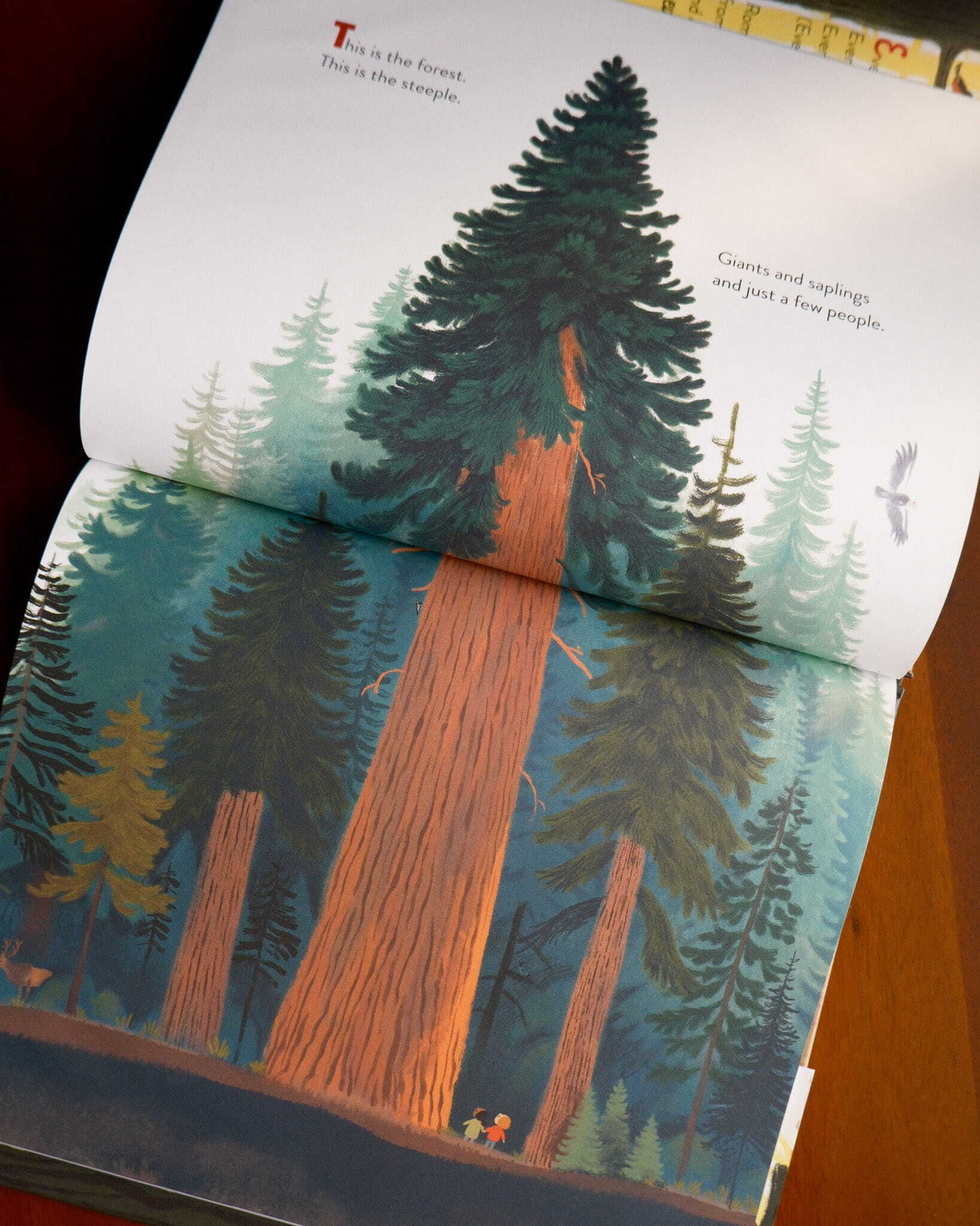 The Everything Trail 2