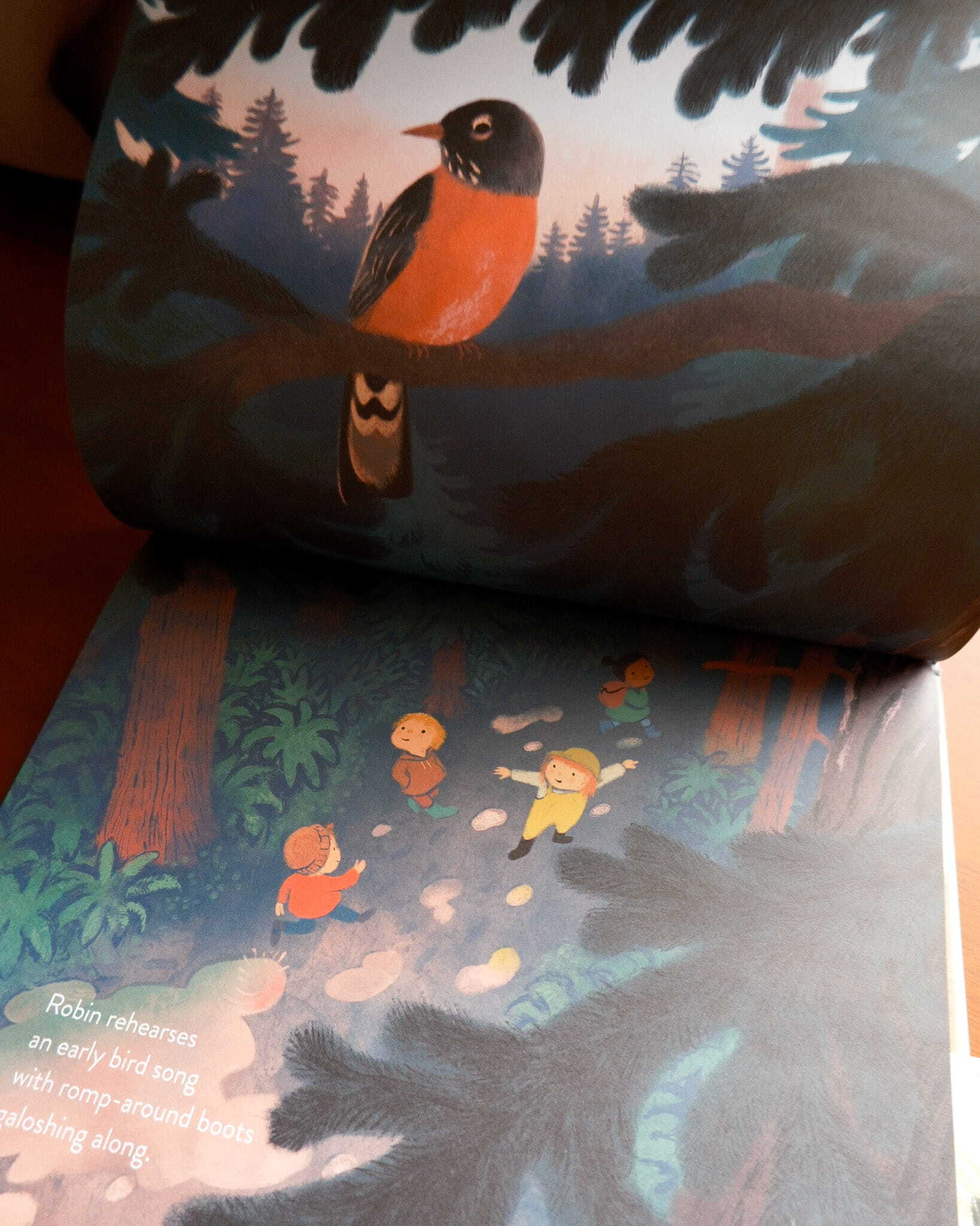 The Everything Trail 5