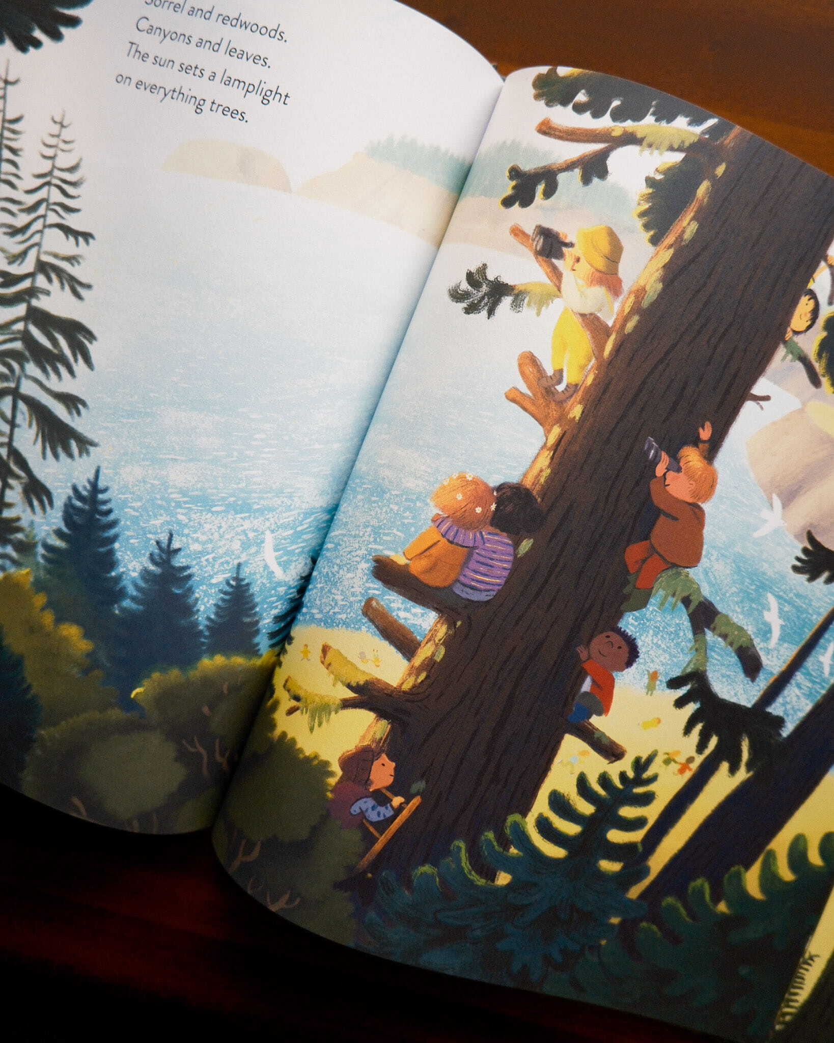 The Everything Trail 7