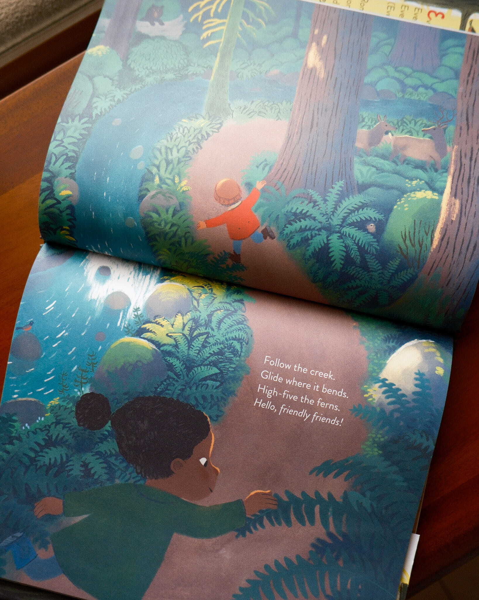 The Everything Trail 3