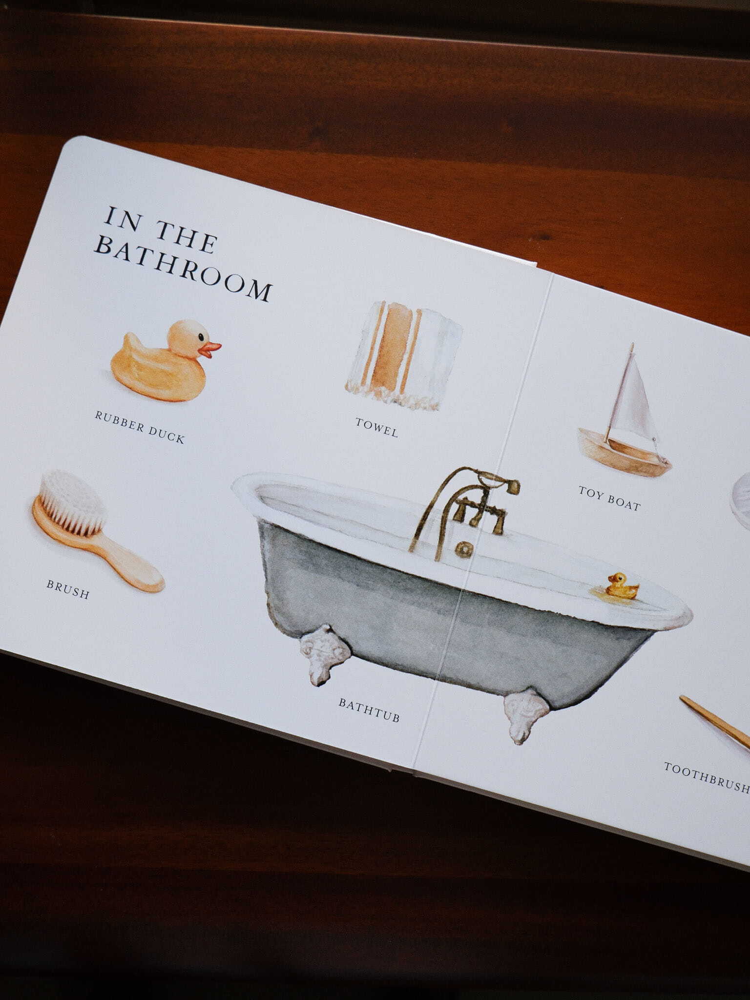 Our Big Book of Words 5