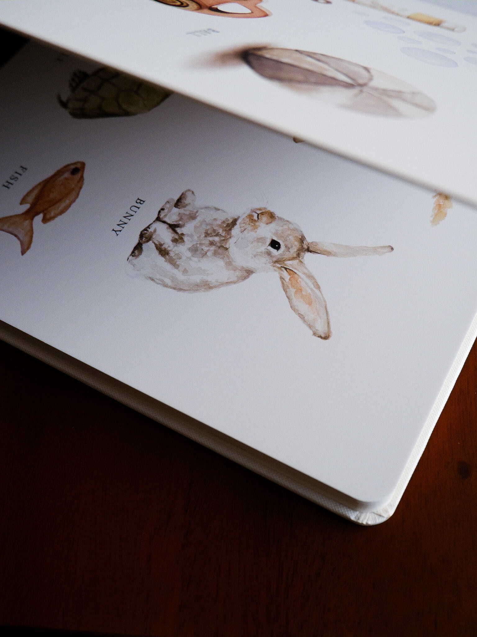 Our Big Book of Words 6