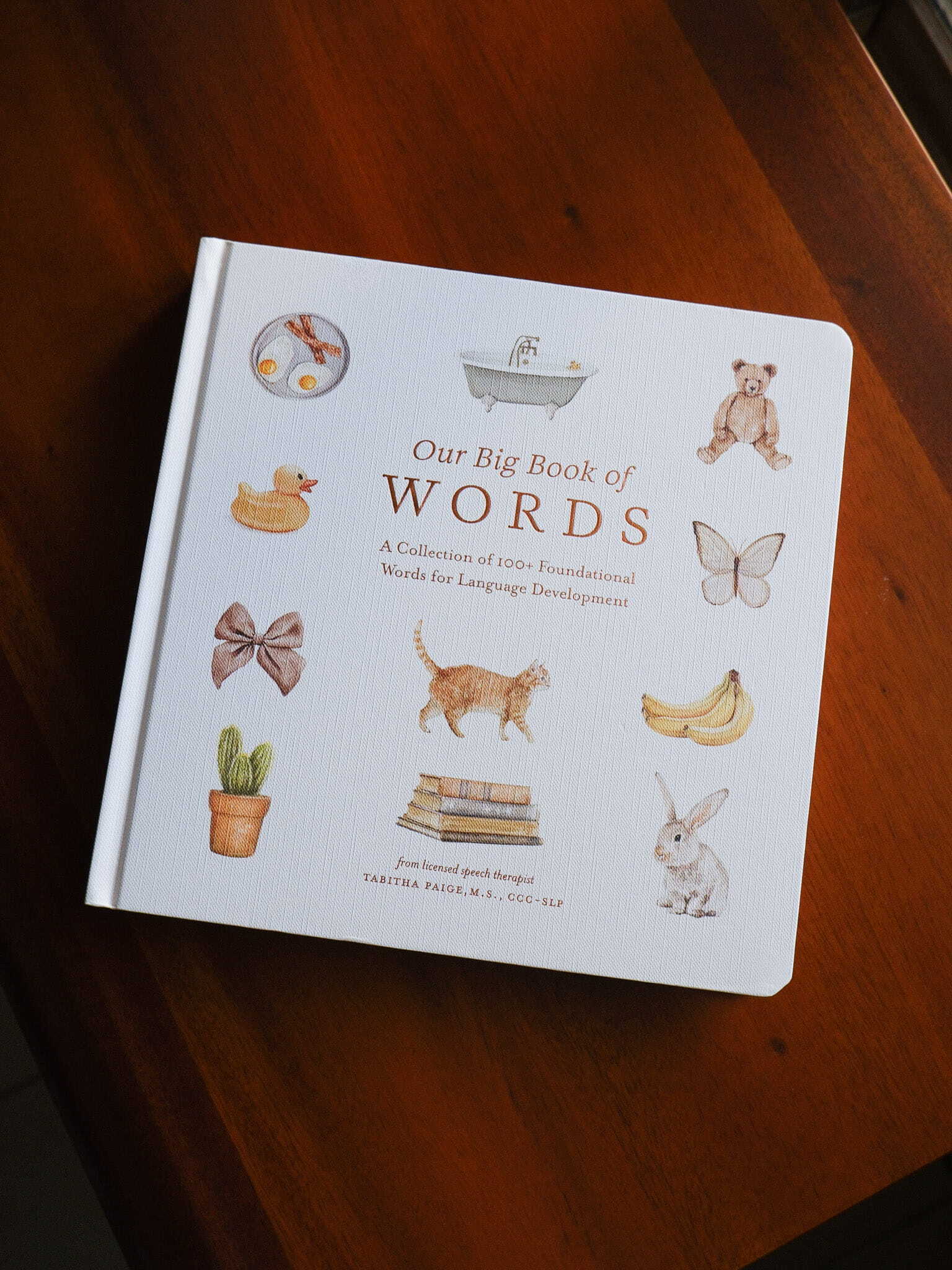 Our Big Book of Words 1