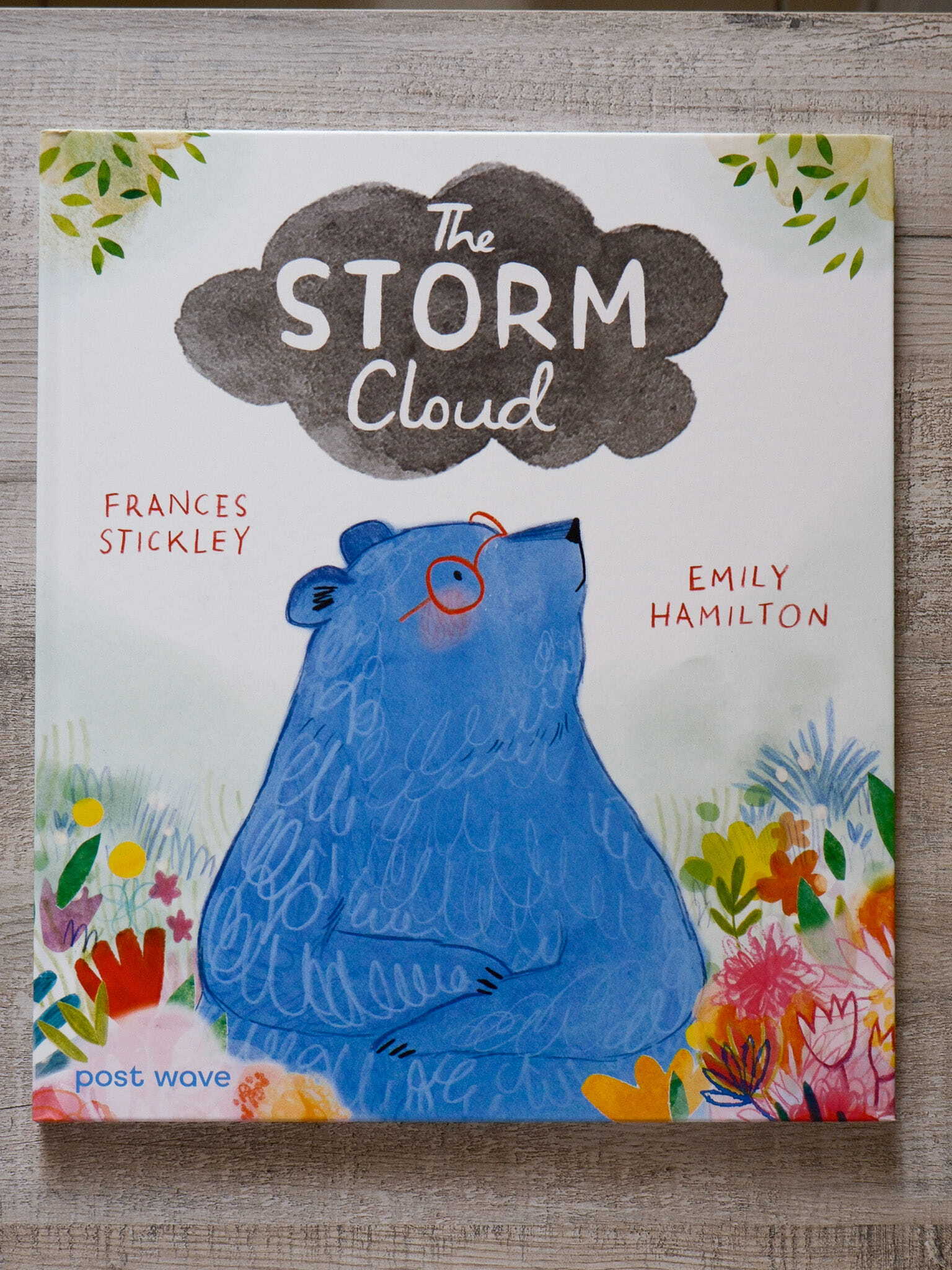 The Storm Cloud 1