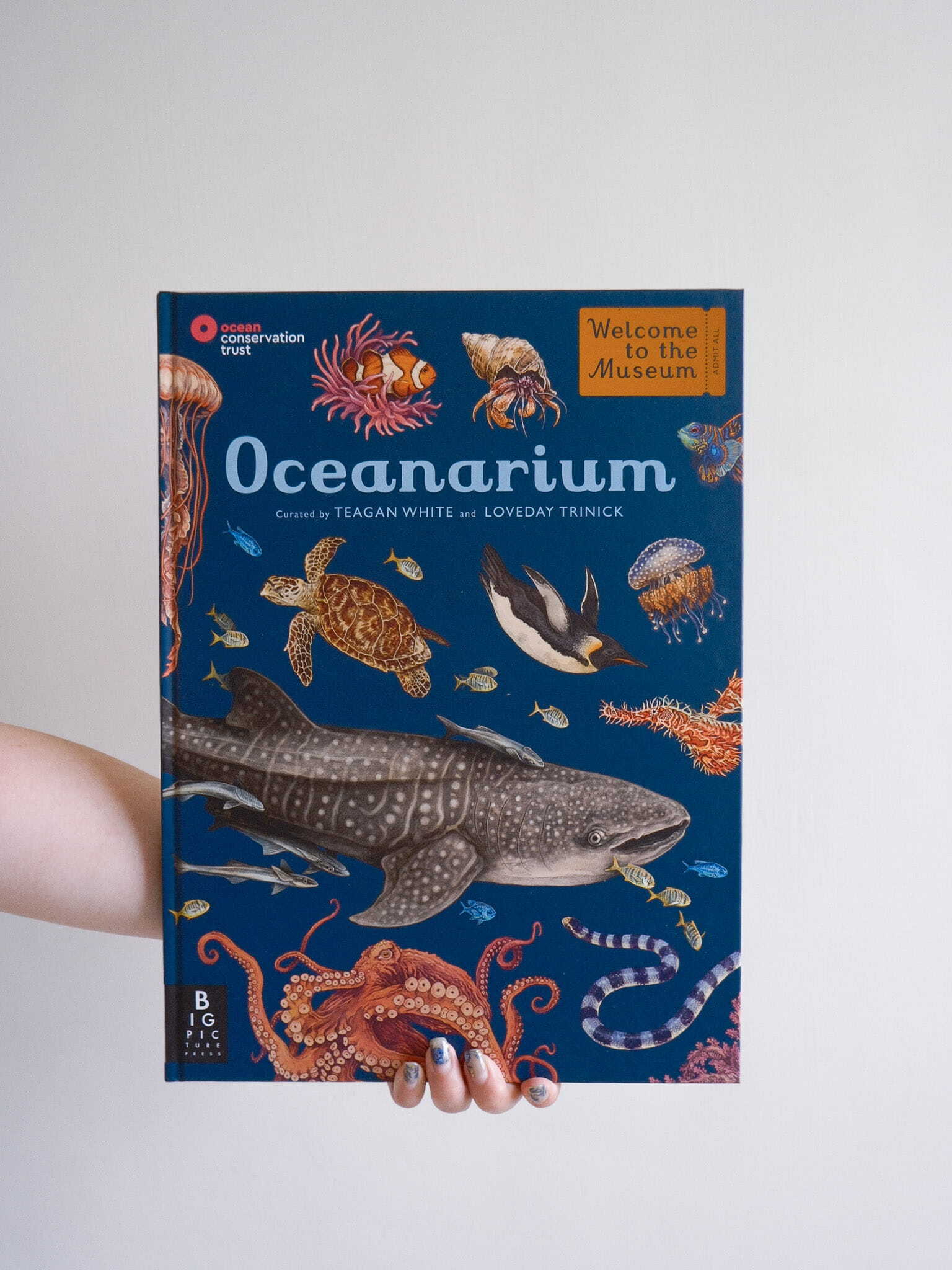 Oceanarium 1