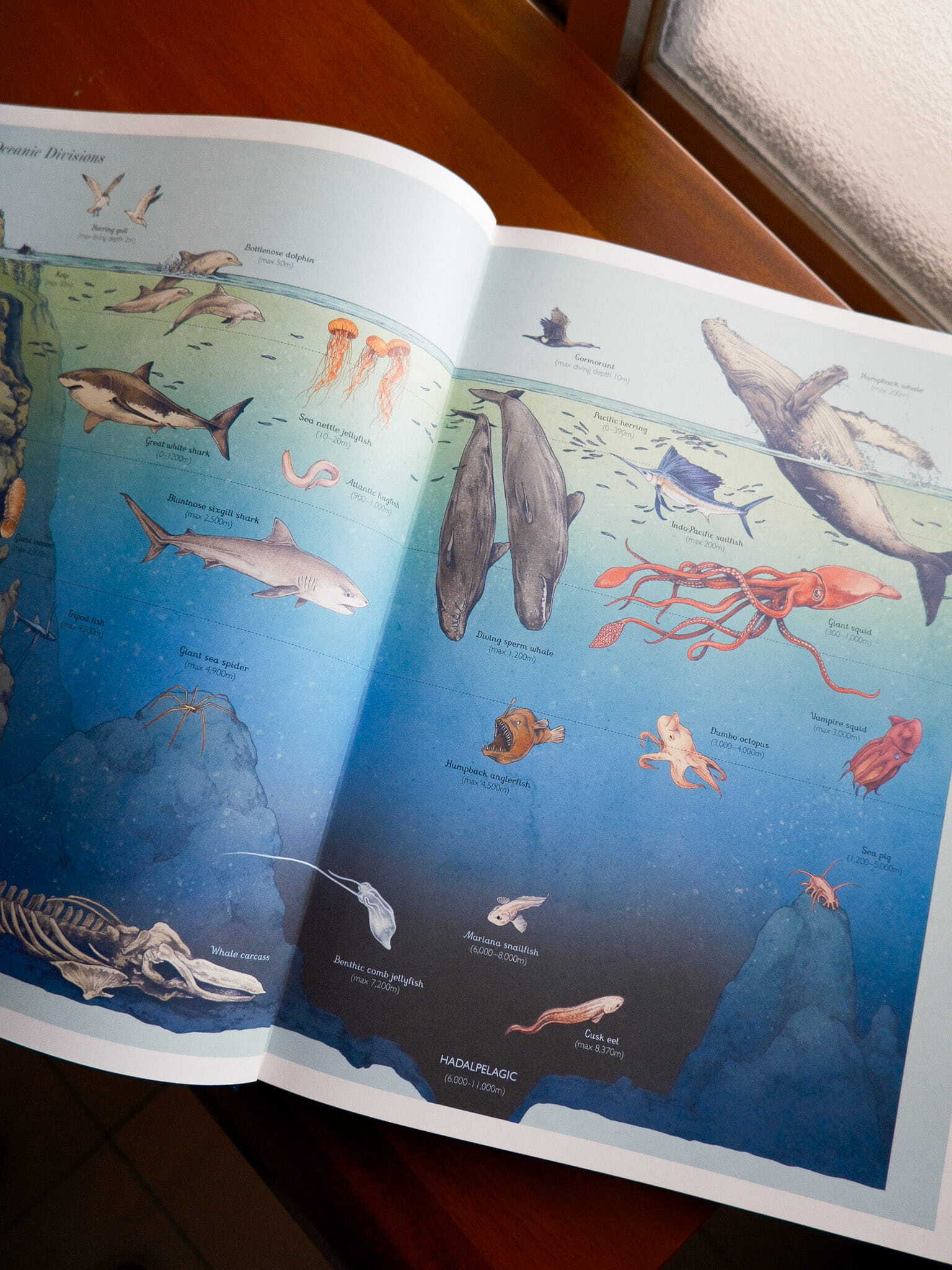 Oceanarium 2