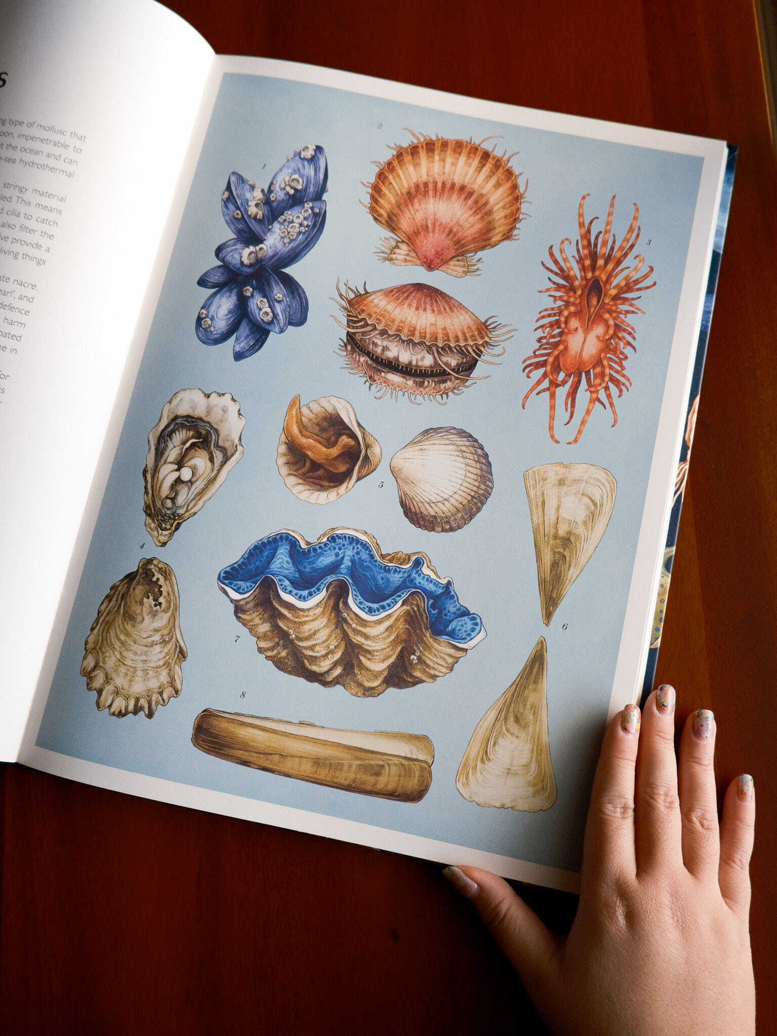 Oceanarium 7