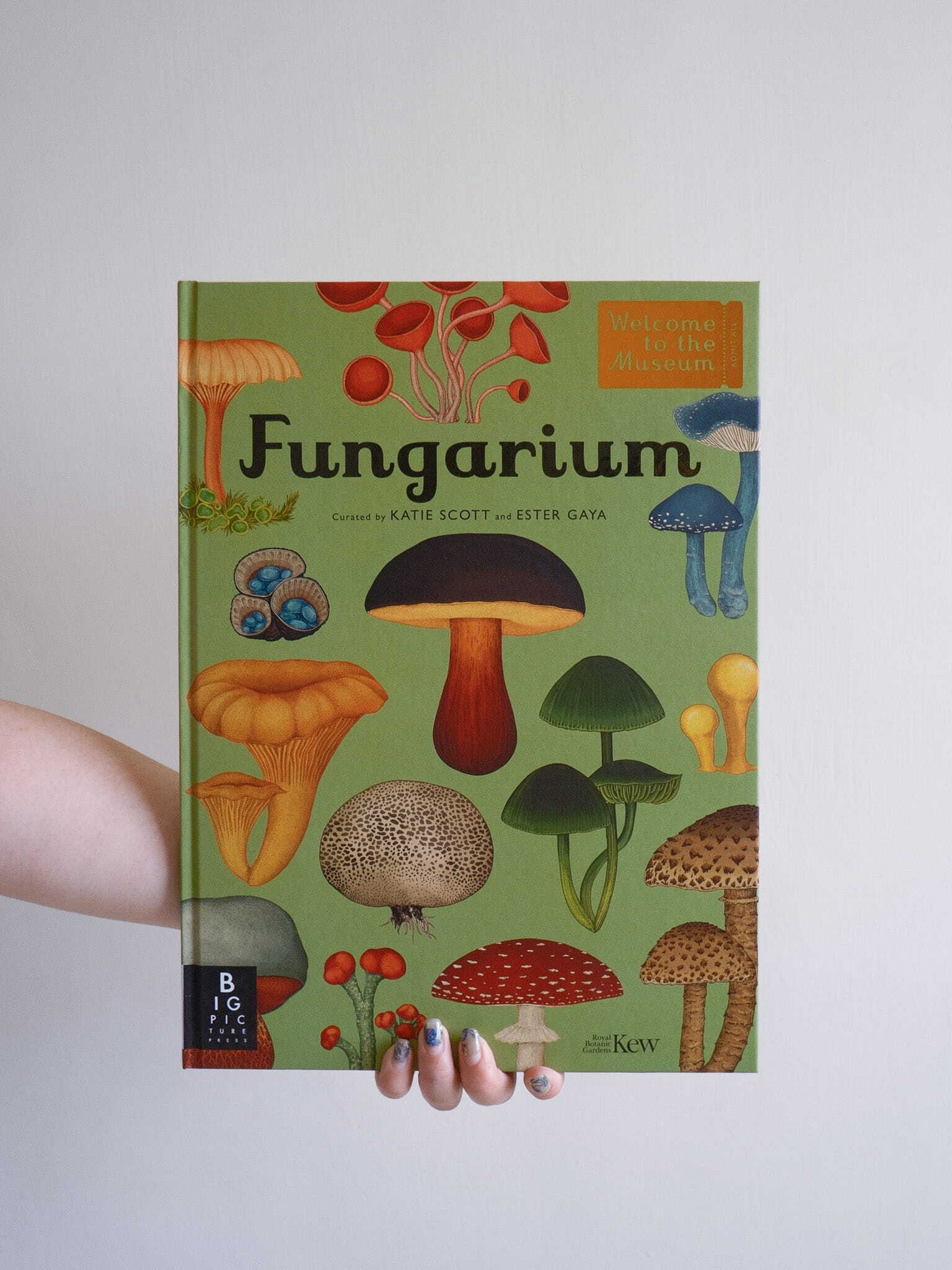 Fungarium 1