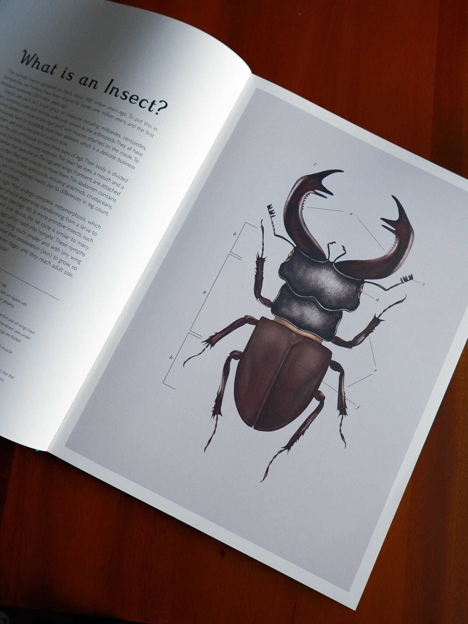 Insectarium 3
