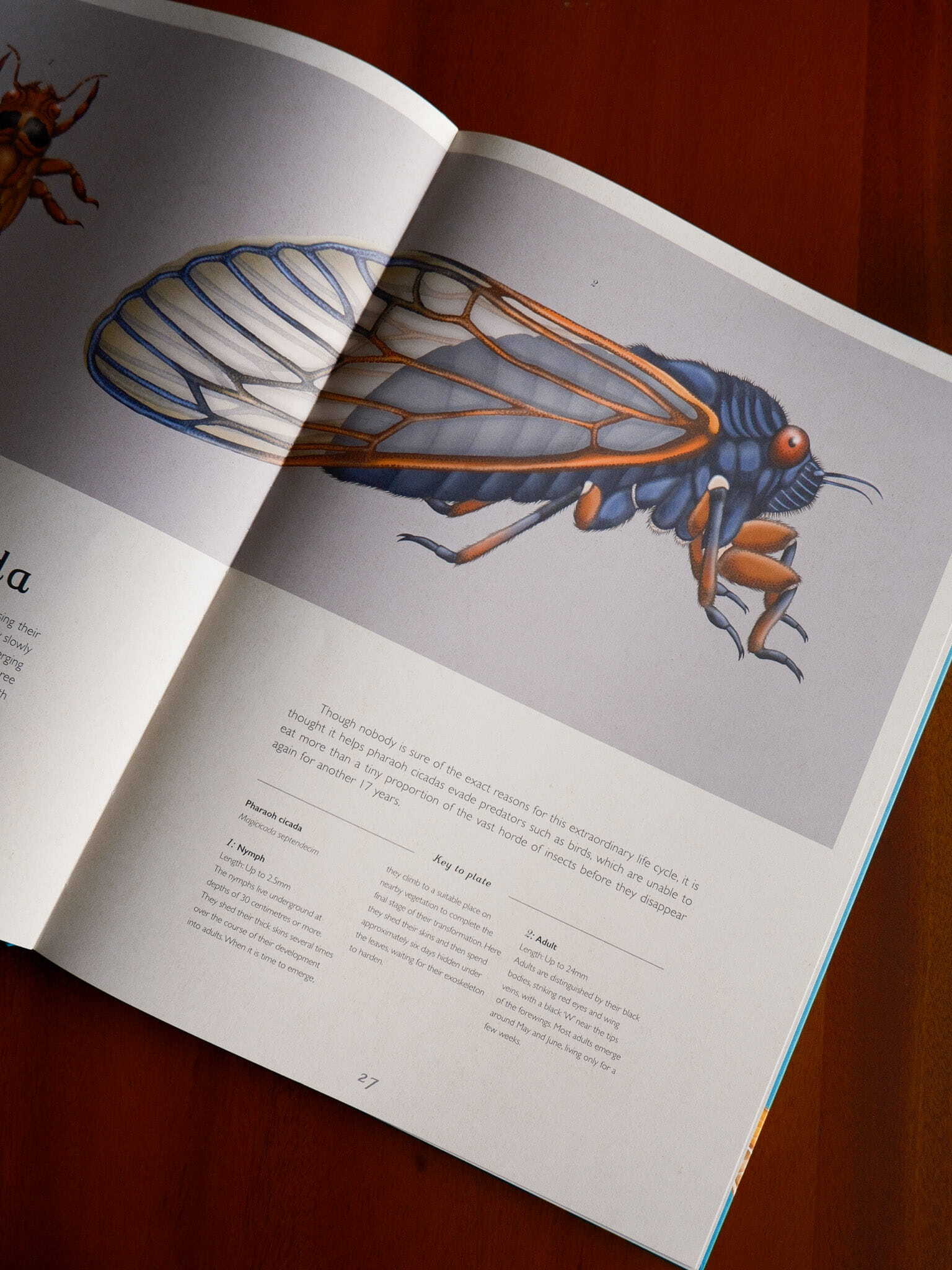 Insectarium 6